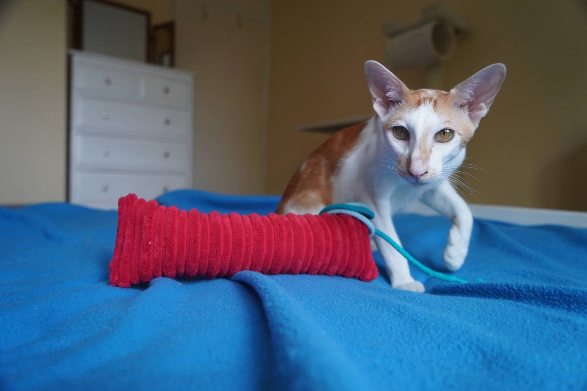 389baf545d1d87cf406ba4ea9a963eb 389baf545d1d87cf406ba4ea9a963eb