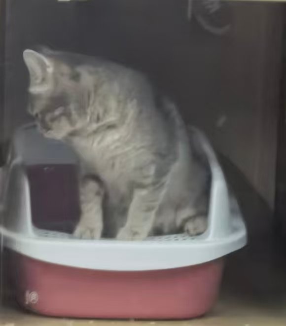 微信图片_2025-12-04_145918_760