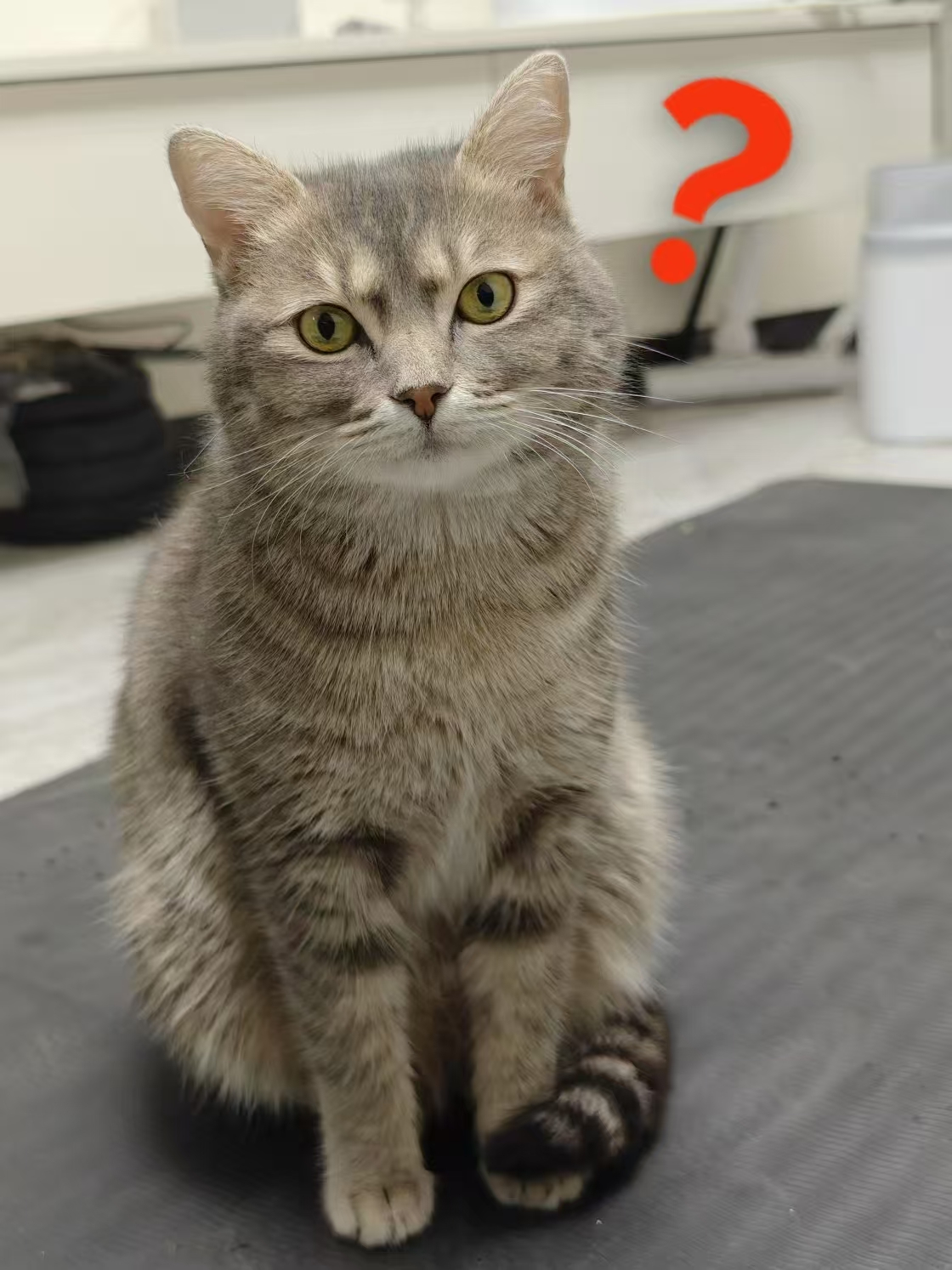 微信图片_2025-12-04_145804_255