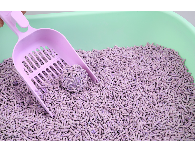 How often should cat litter needed to be changed? A Comprehensive analysis of 6 Must-See Cat litter for Beginners!