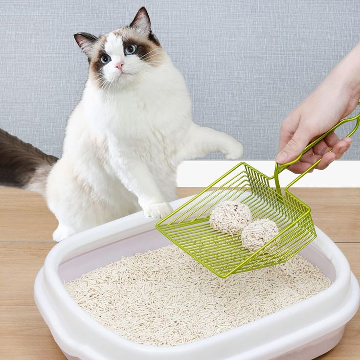 d1981d0088a6031dbf85bd06bd60fd7