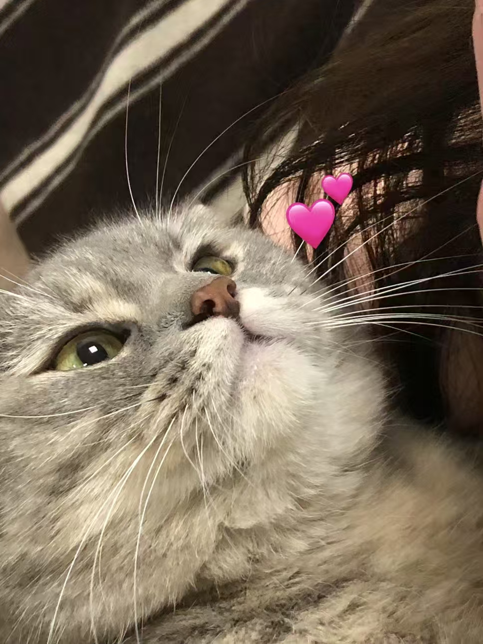 微信图片_20260108144629_135_2