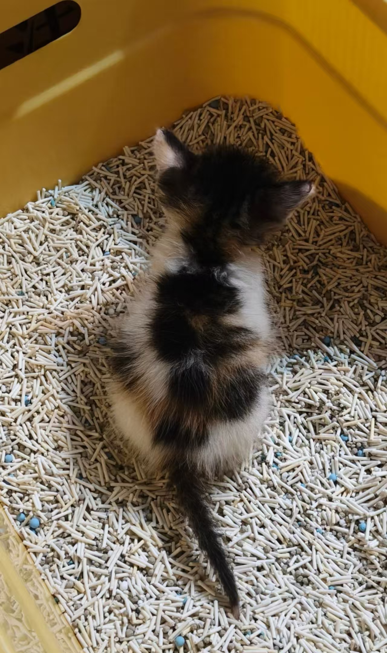 微信图片_20251213173542_37_6