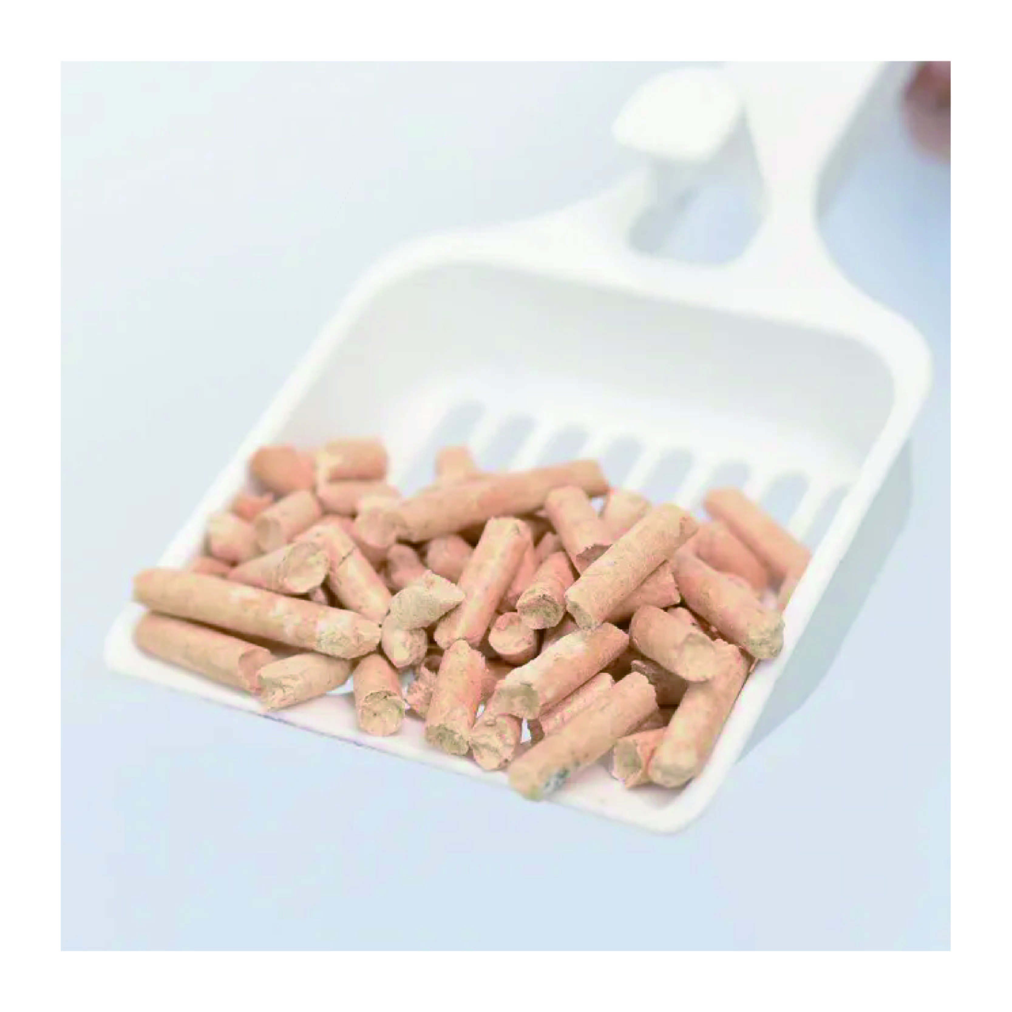 Environmentally Friendly Pine Wood Cat Litter Can Be Used As Flower Fertilizer