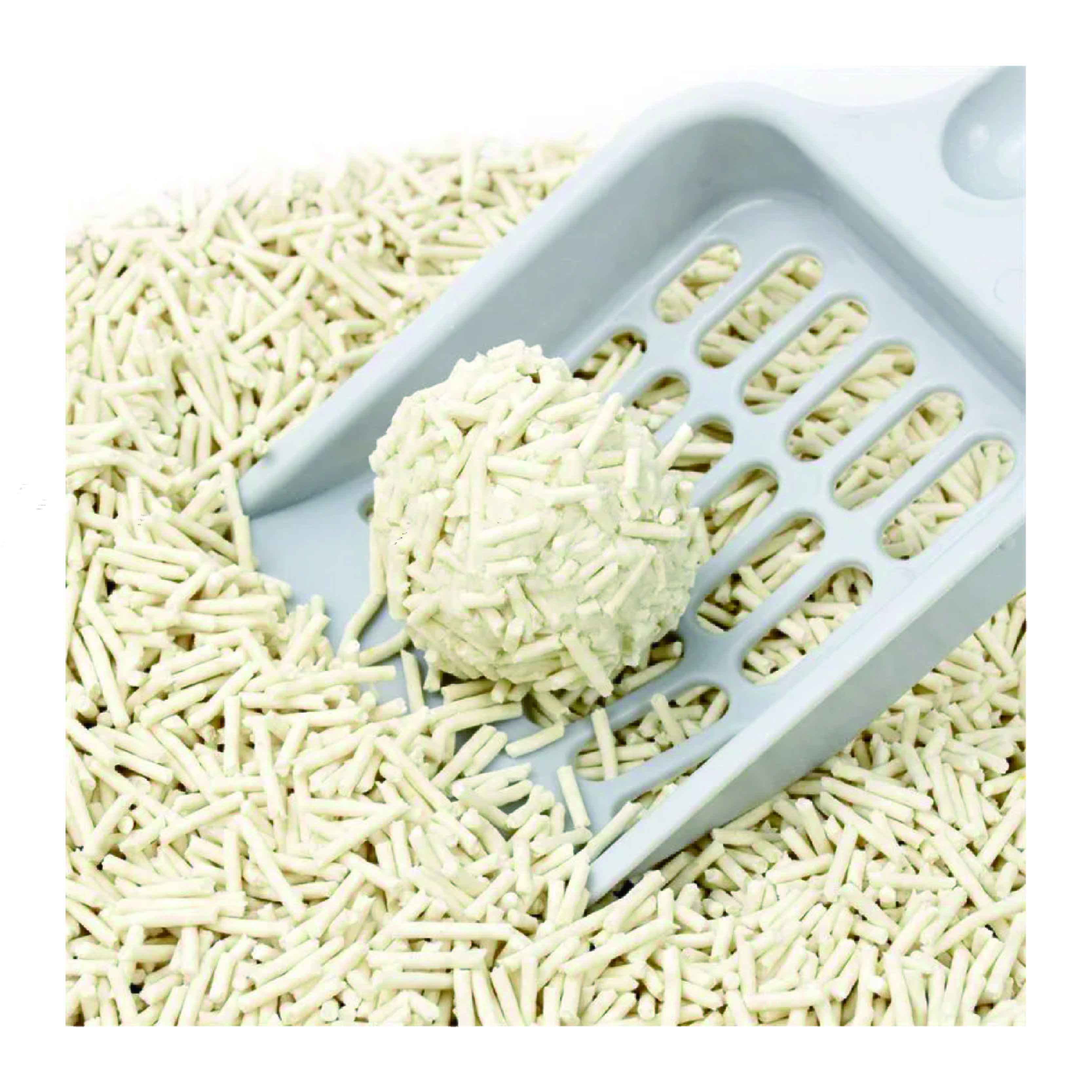 独立站图片_复制_复制_复制-04