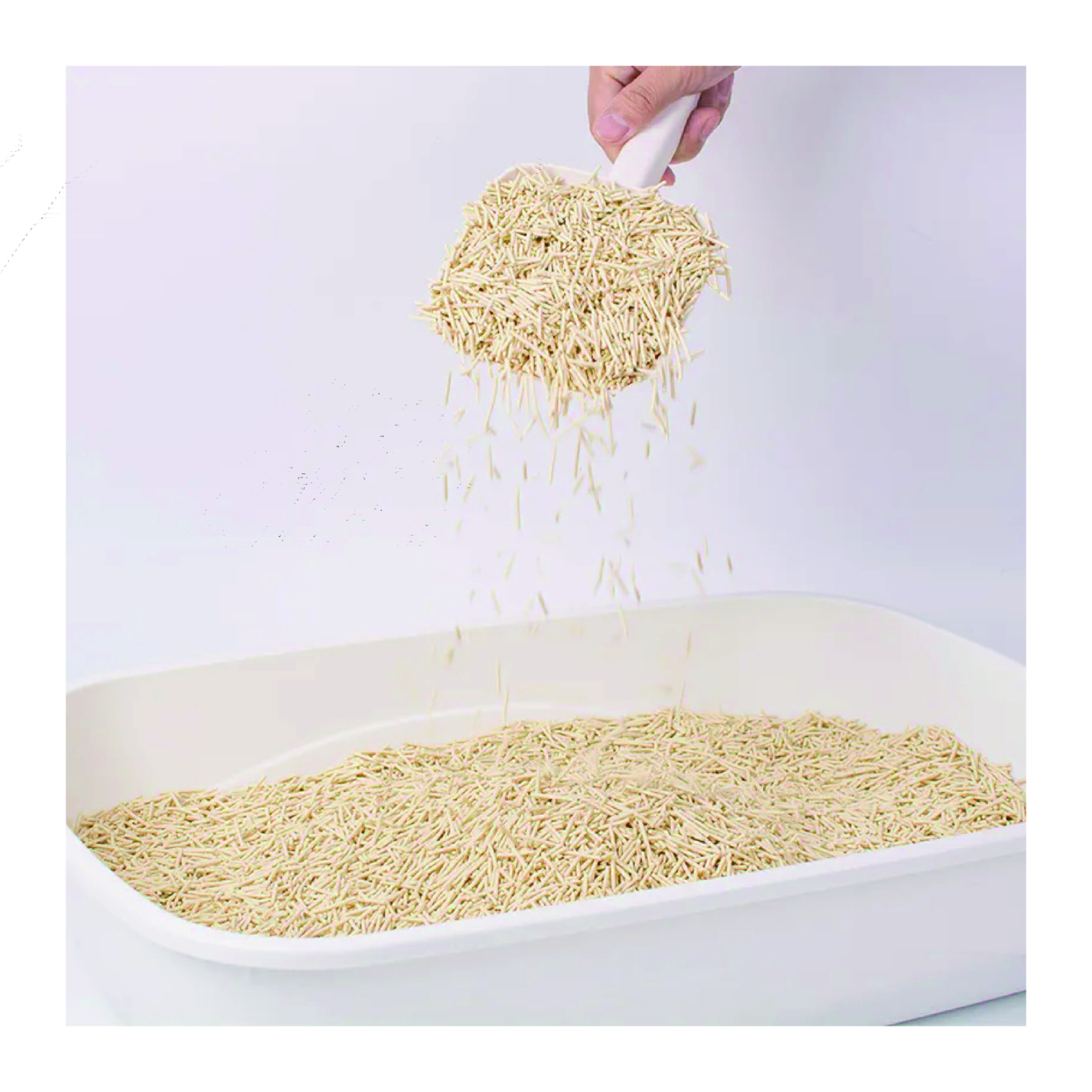 OEM ODM Factory Direct Tofu Cat Litter Exceptional Clumping Multiple Fragrance Options and Eco-Friendly Cat Litter