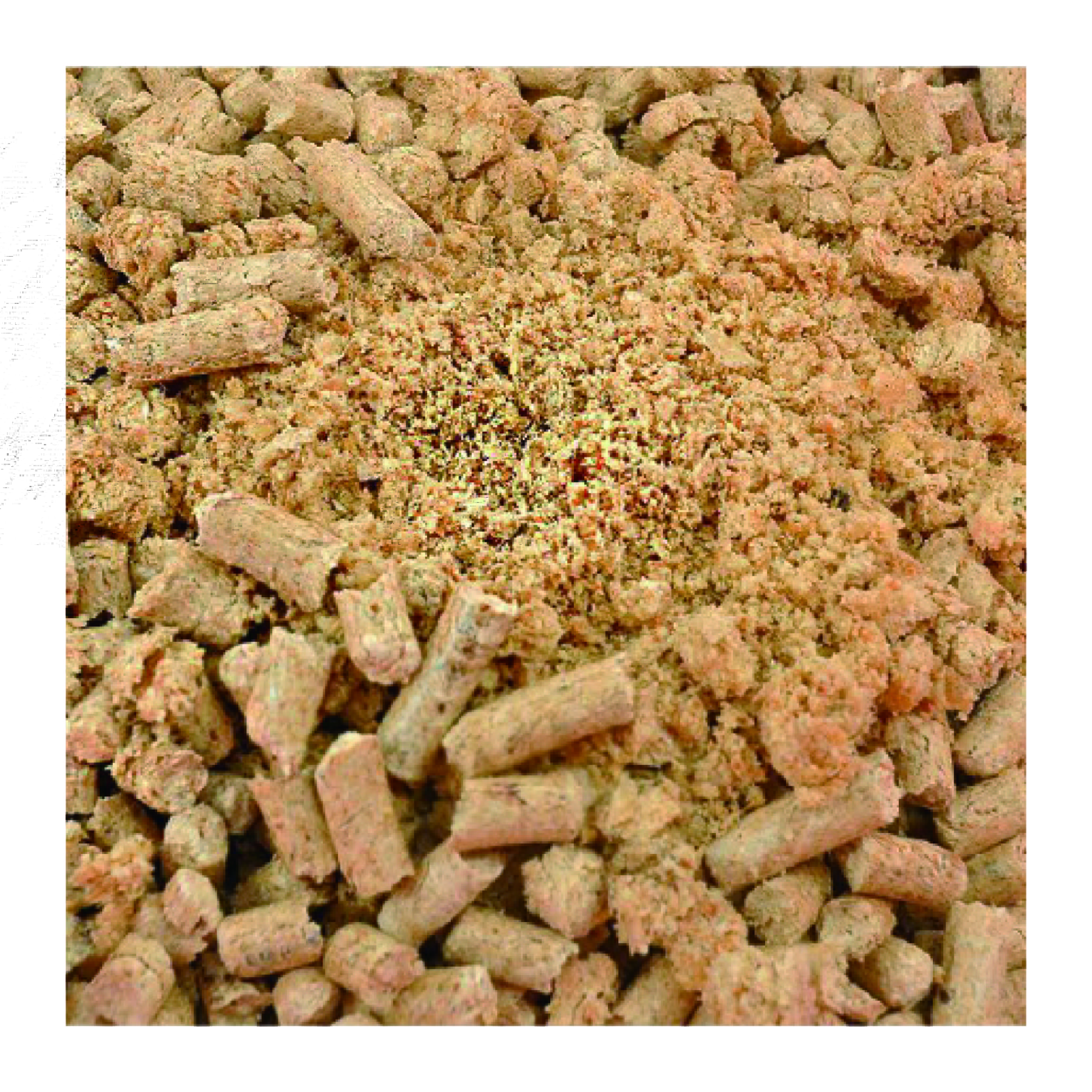 Pine Wood Cat Litter