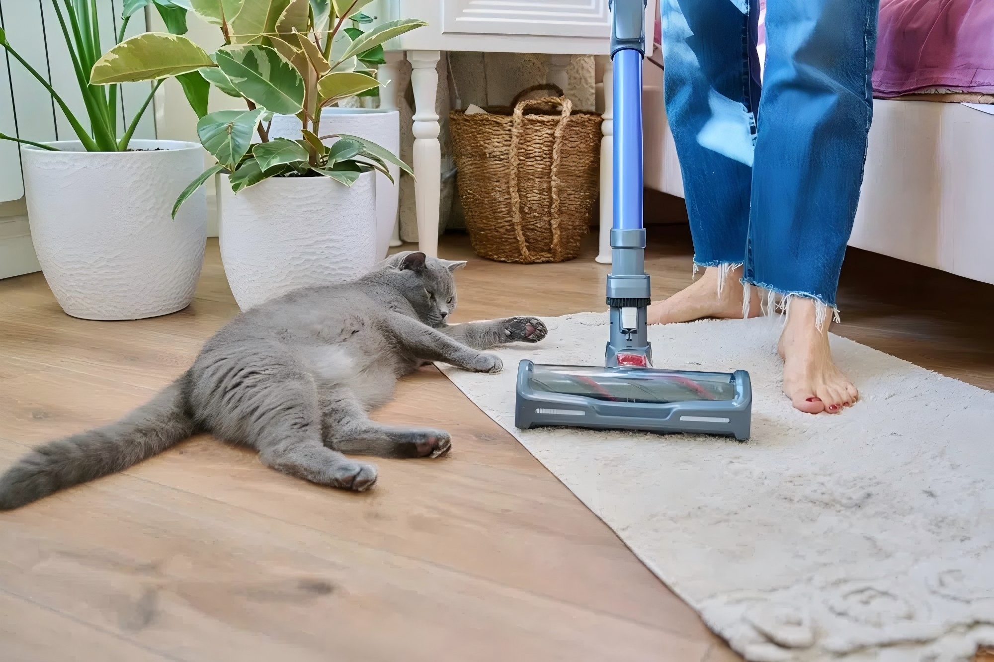 Is It Safe to Vacuum Cat Litter? Facts & Cleaning Tips