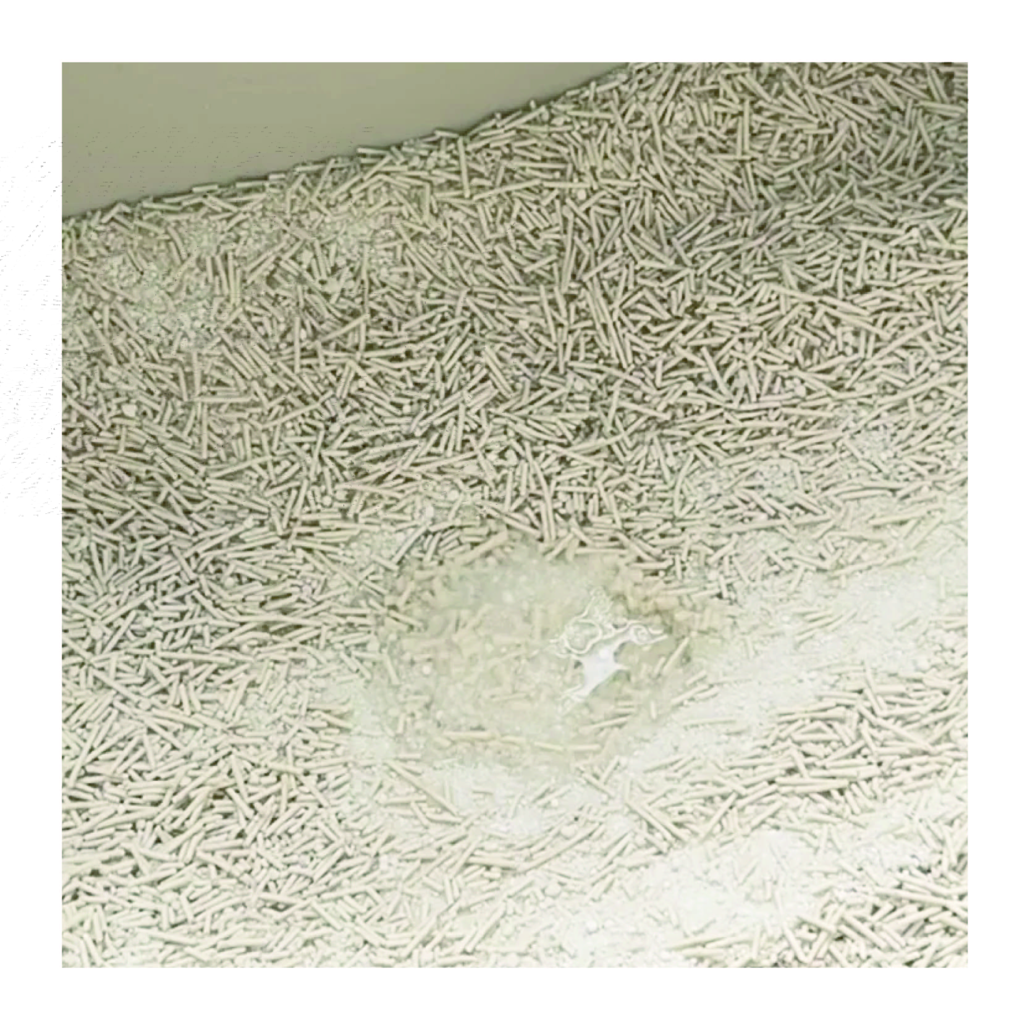 Tofu Tapioca Cat Litter 2.5kg/6L Natural Plant Cat Litter Easy Clumping Biodegradable Mixed Cat Litter
