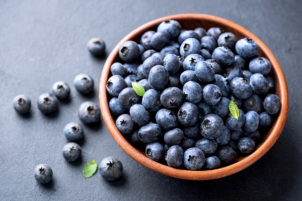 Can Cats Eat Blueberries?