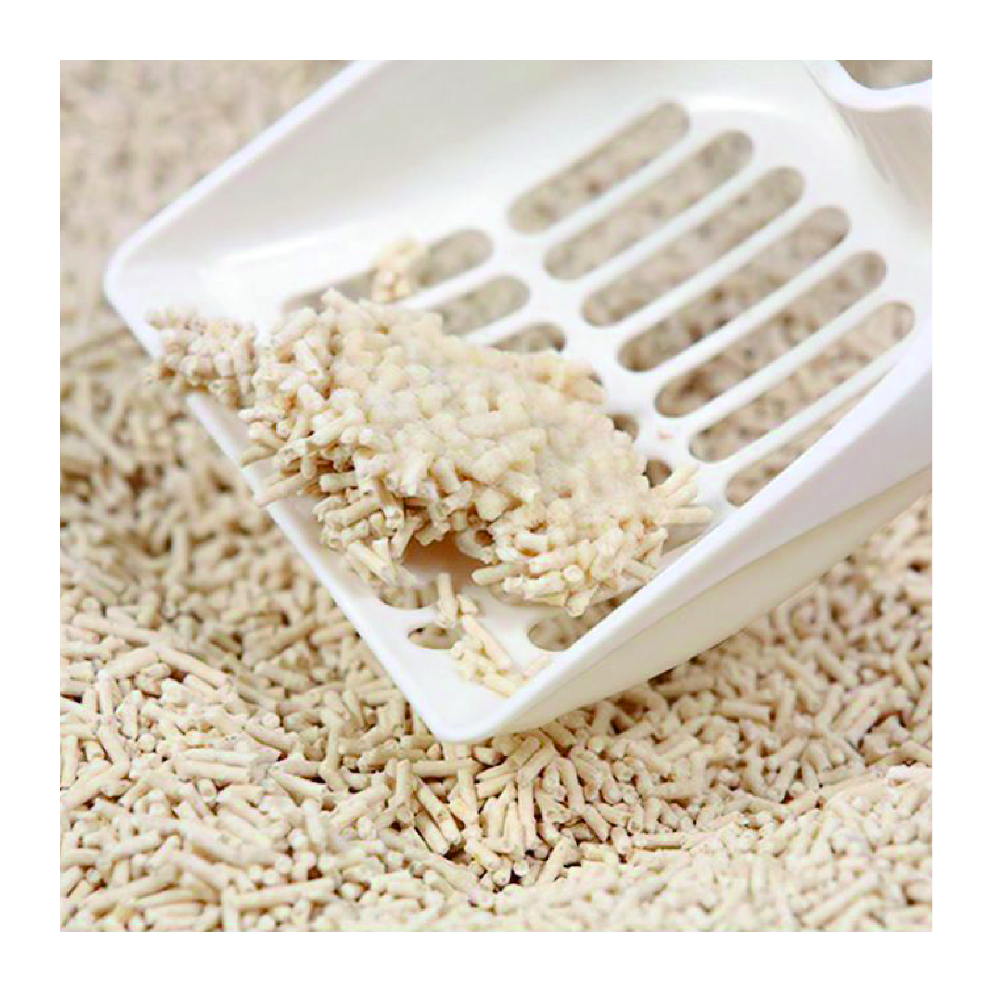 Natural Cat Litter Factory Highly Absorbent Eco-Friendly Tofu Cat Litter Widely Used And Flushable Superior Quality Sand