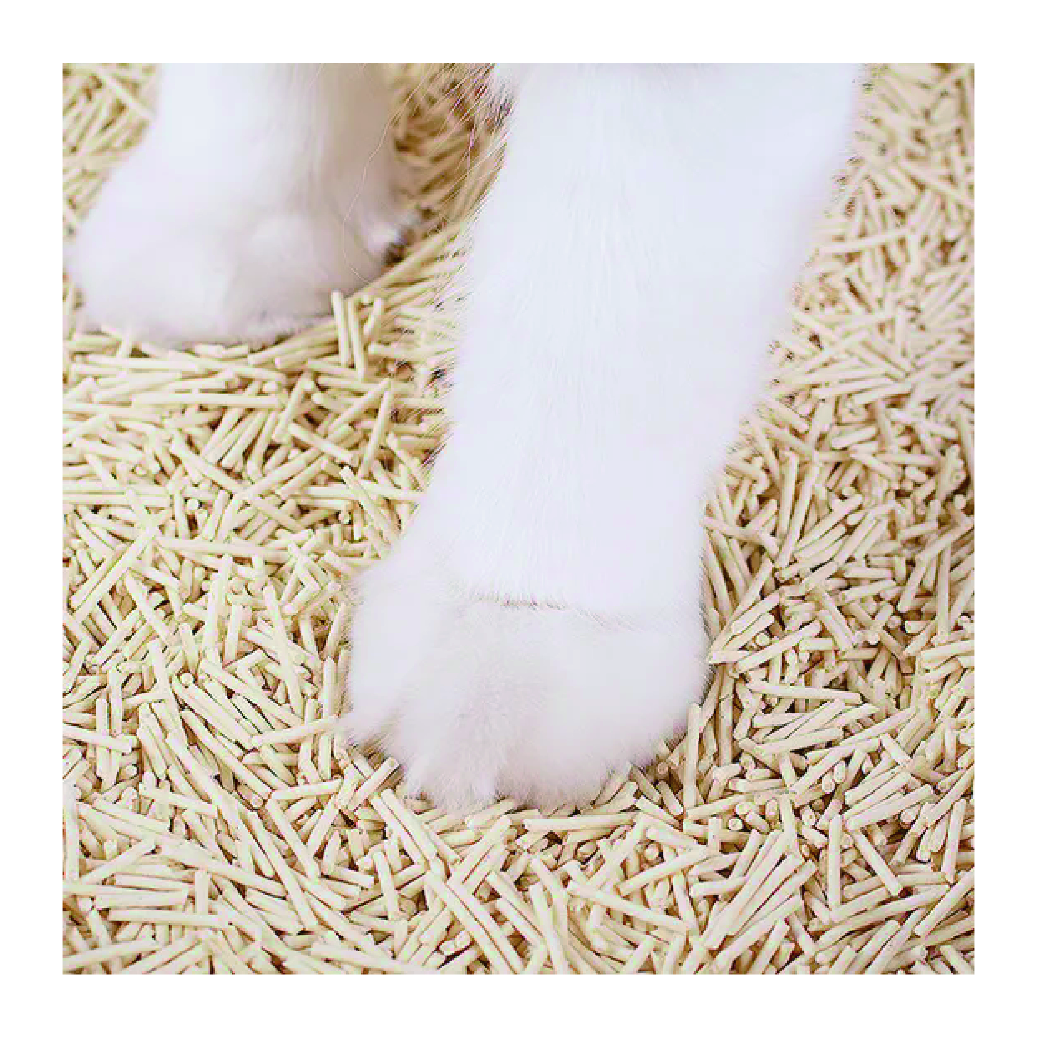 Wholesale Super Water Absorption Clumping Cat Litter Sand Tofu Cat Litter Toilet Food Grade Plant Sand