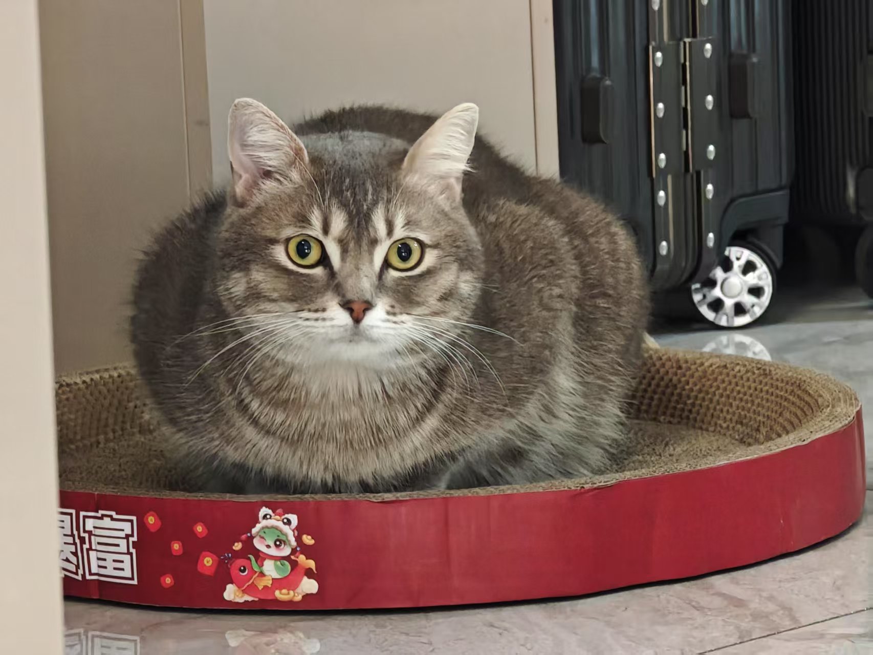 微信图片_2025-12-04_145801_025