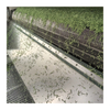 OEM/ODM Bulk Green Tea Scented Premium Natural Plant Tofu Cat Litter Clumping Dust Free Flushable Tofu Cat Litter Sand
