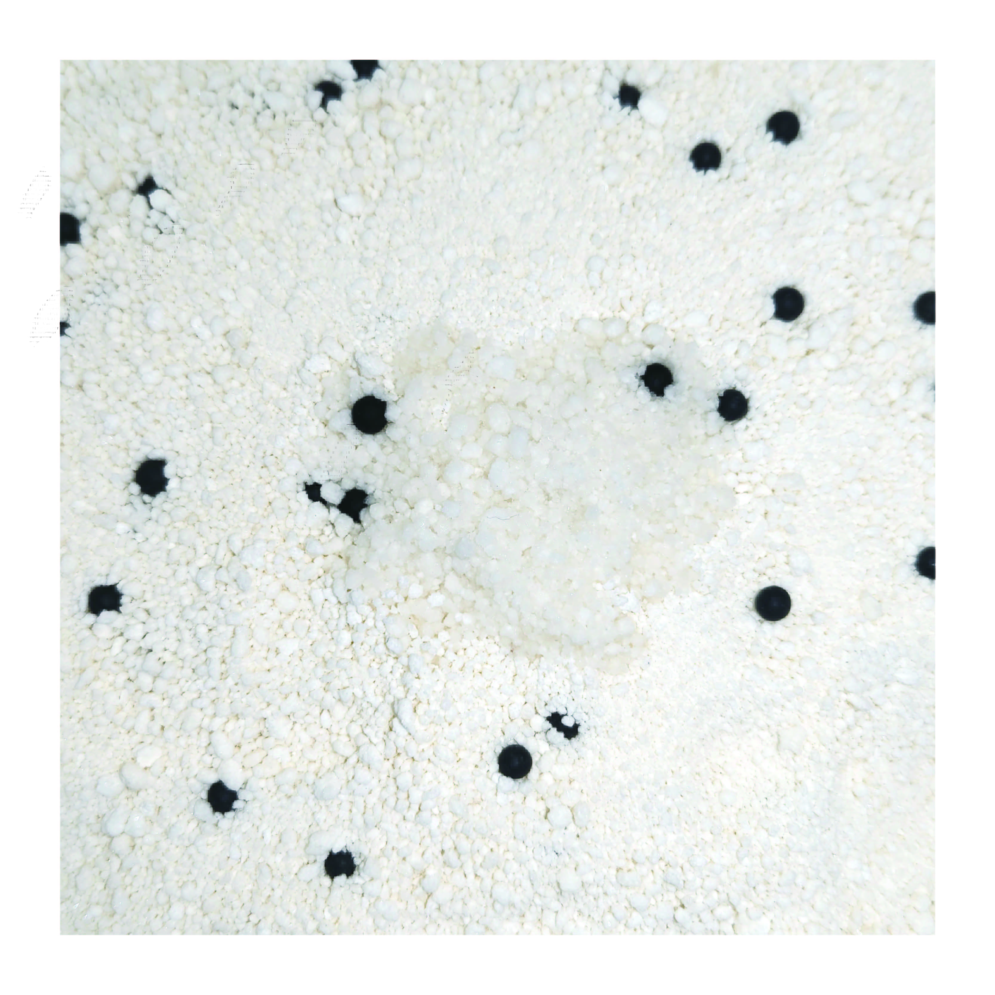 Natural Cassava Cat Litter Eco-Friendly Cat Litter Odour Control 99.9% Dust Free Tapioca Cat Litter Pet Products Cat Litter