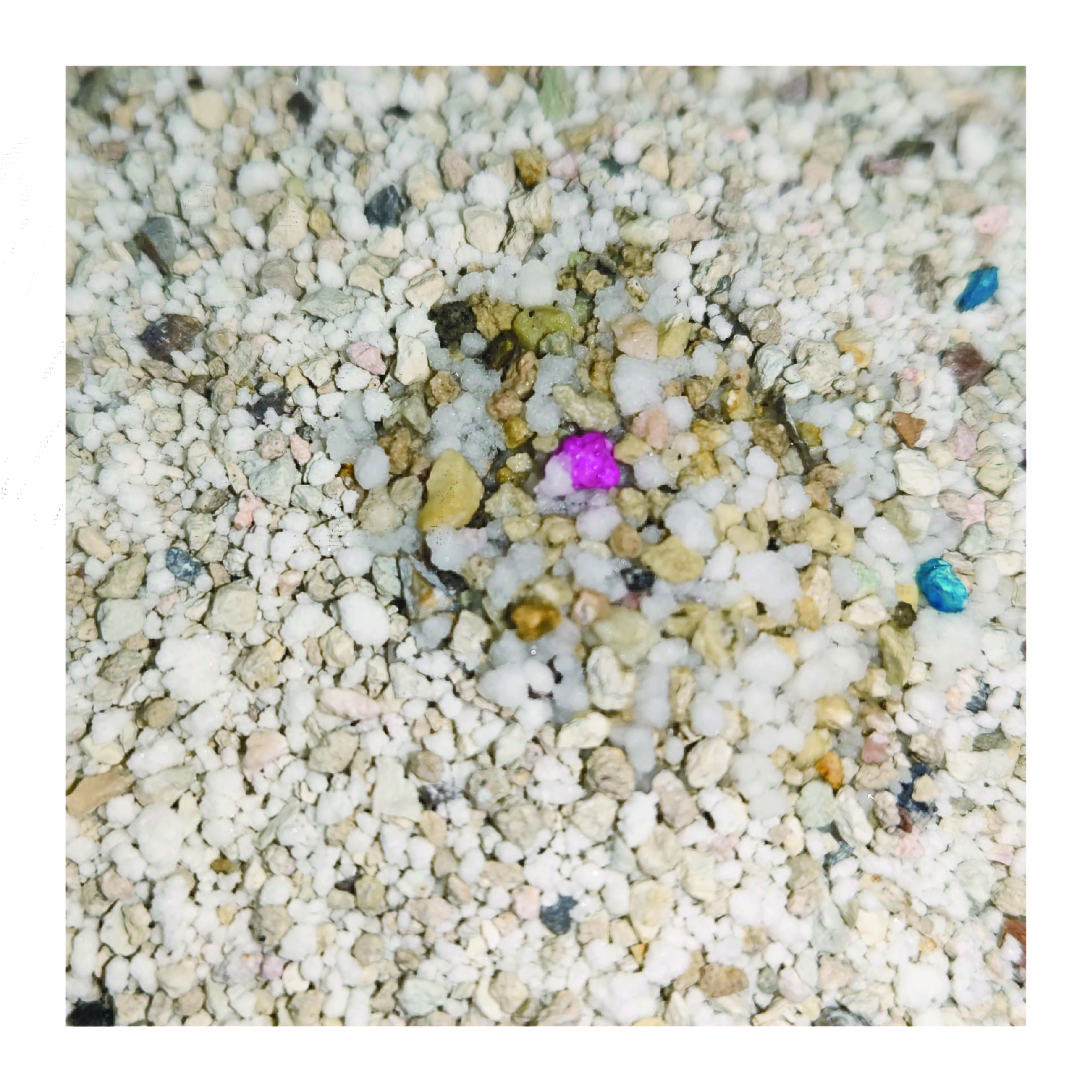 Wholesale Price Pure Natural Plant-Based Cassava Bentonite Mix Cat Litter Low Dust Fast Clumping