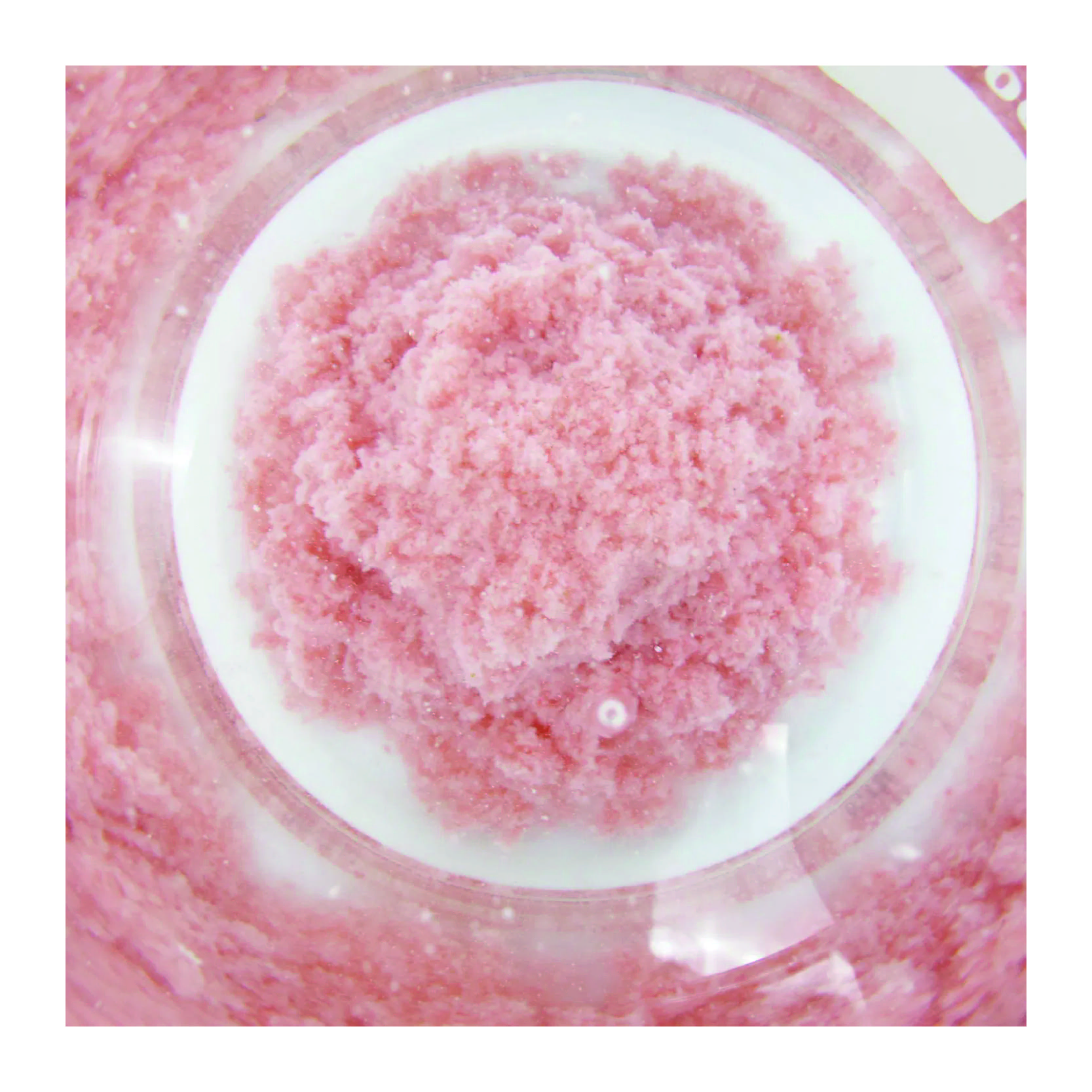 Peach Tofu Cat Litter