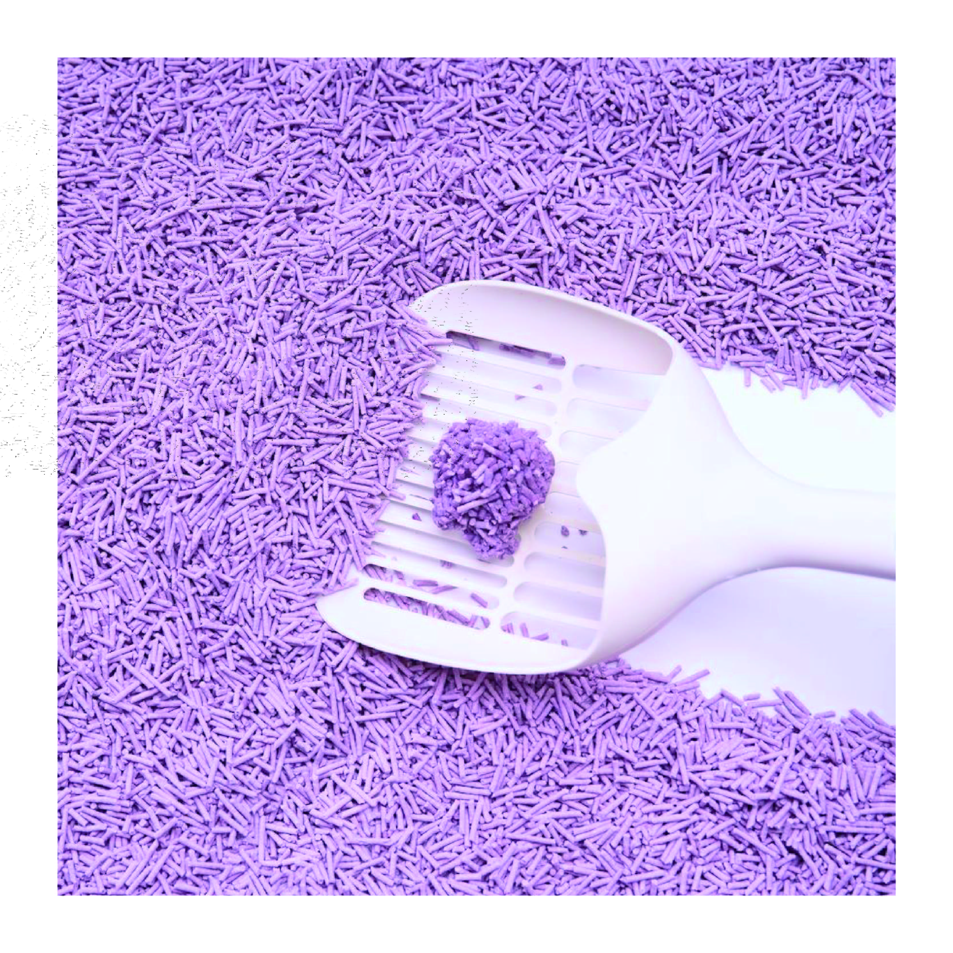 OEM/ODM Pet Products Chinese Factory Wholesale Customizable Scent Natural Deodorizing Lavender Tofu Cat Litter