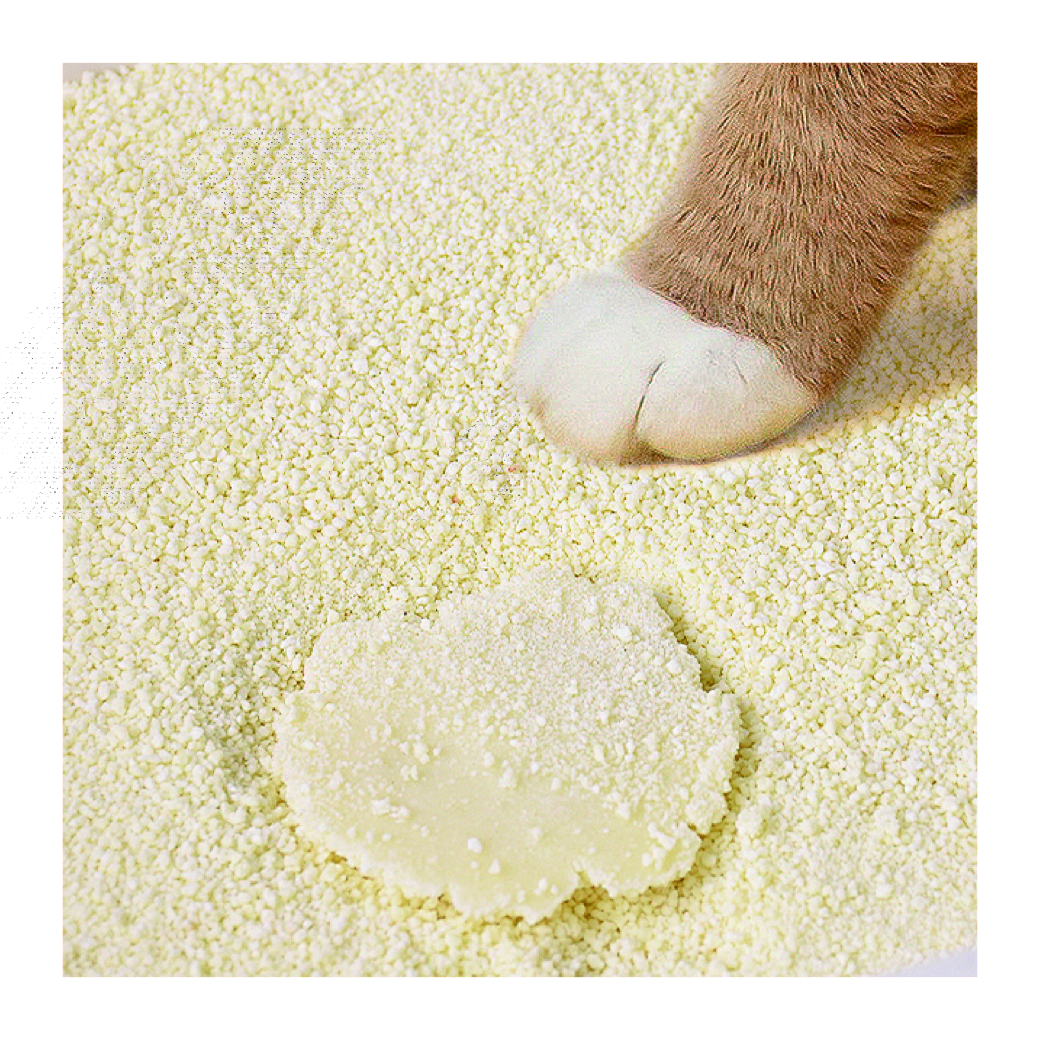 OEM ODM Cassava Cat Litter Natural High Water Absorption Dust Free Eco-Friendly flushed down Cassava Cat Litter