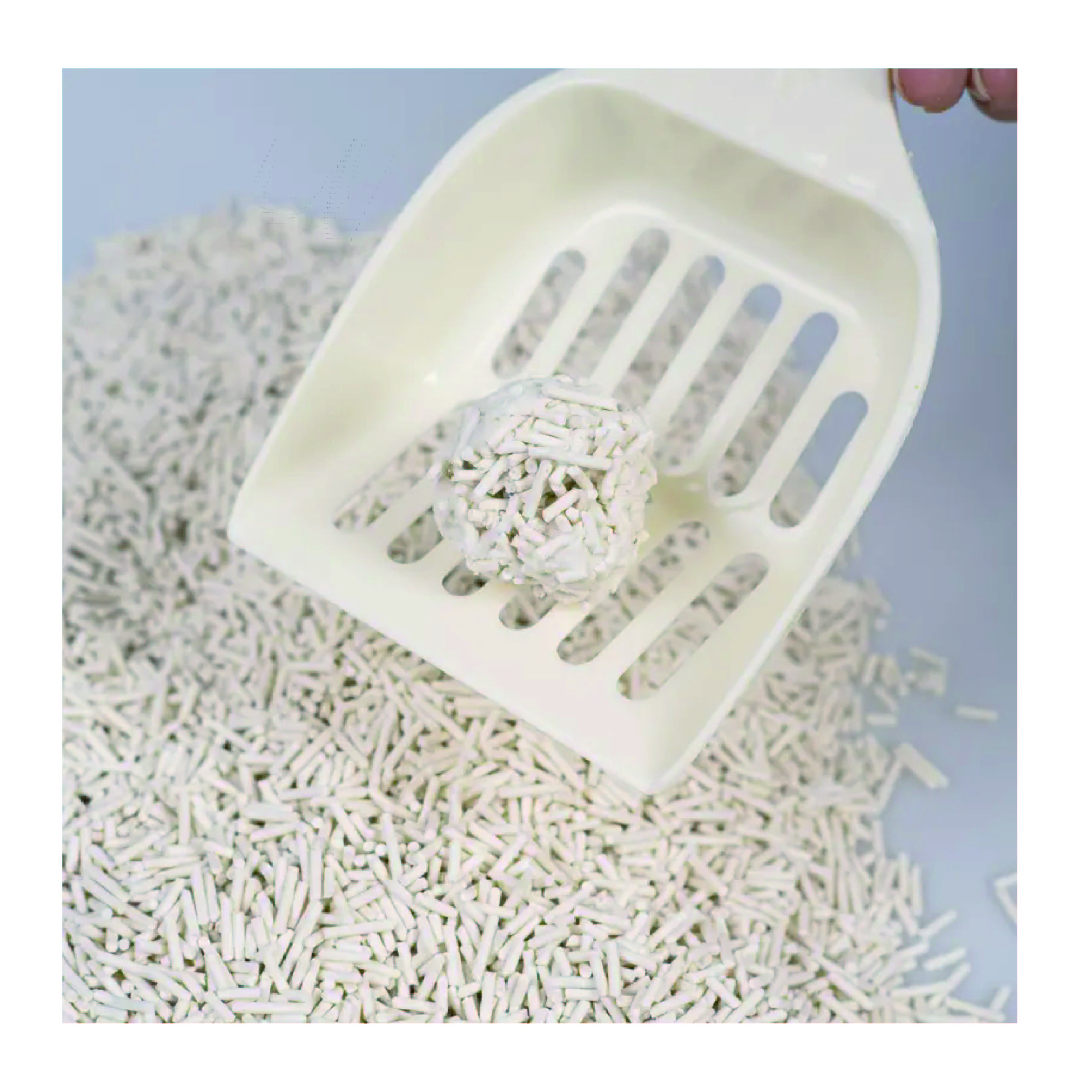 Best-Selling OEM/ODM Factory Wholesale 100% Natural Dust Free Easy Scoop Absorb Strong Clumping Tofu Cat Sand