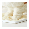 Pet Products Factory Direct Sales High Quality 100% Natural Plant-Basede Cassava Cat Litter