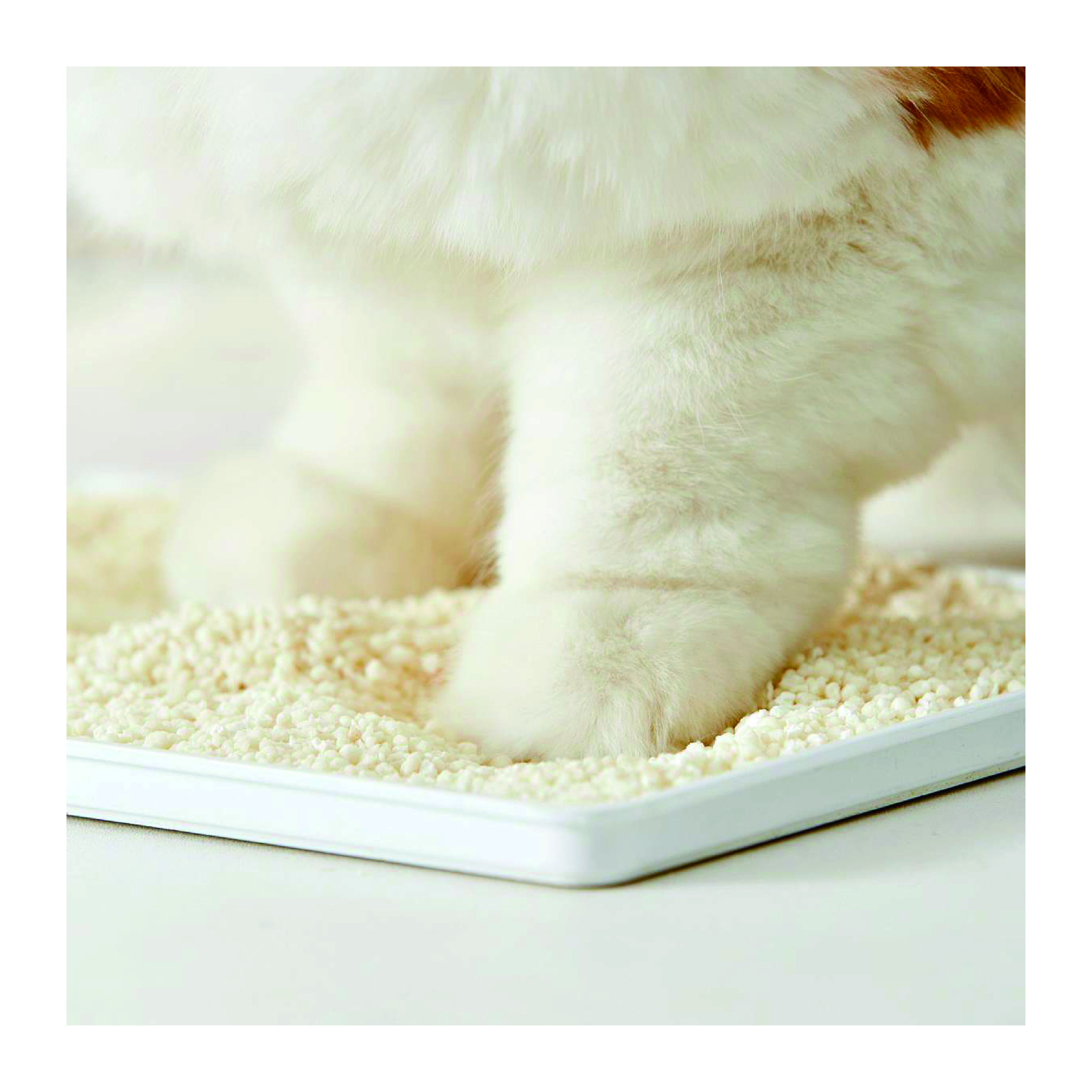 Pet Products Factory Direct Sales High Quality 100% Natural Plant-Basede Cassava Cat Litter