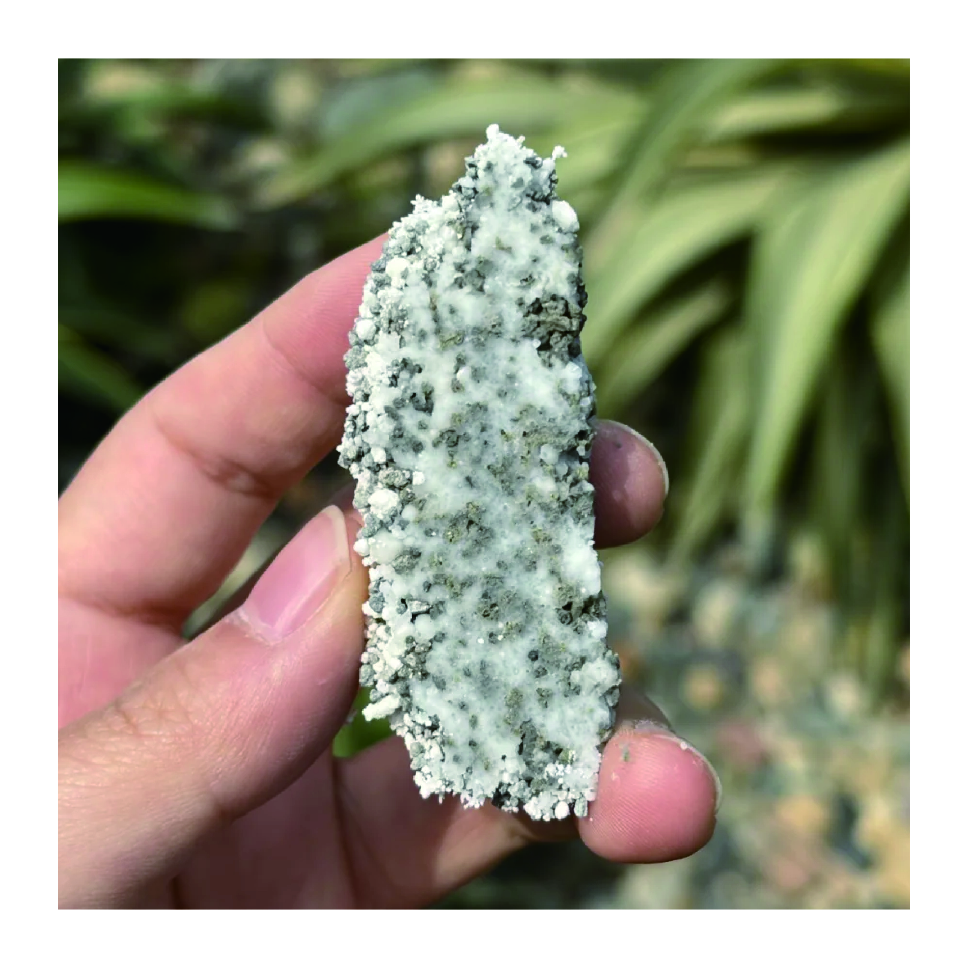 Wholesale White Cassava Black Mineral Mixed Cat Litter Premium Dust Free Organic Clumping Mixed Cat Litter Sand