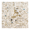 Cat Litter Factory OEM/ODM Easy Clumping Lightweight Flushable Bentonite Mixed Tofu Cat Litter