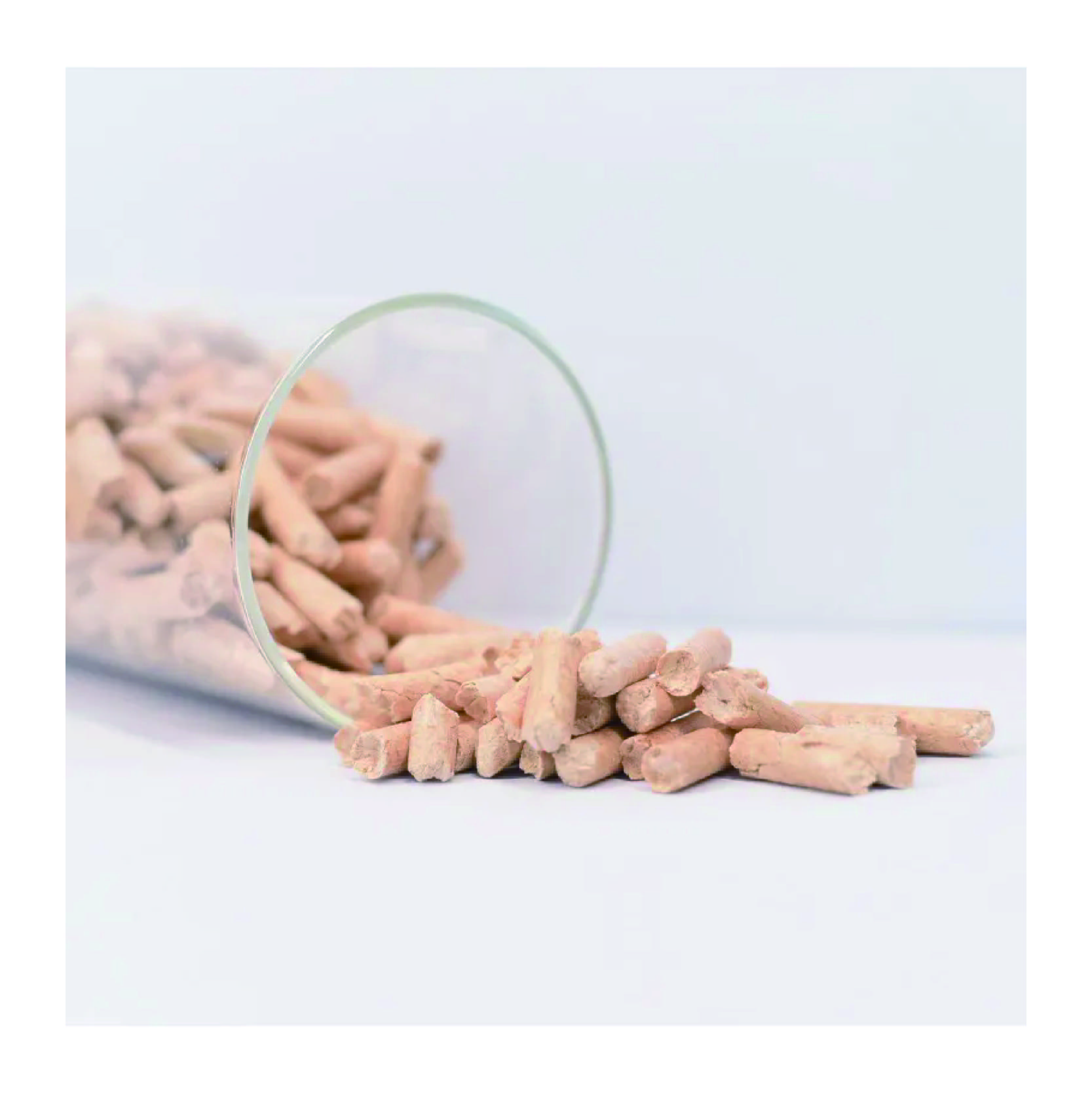 OEM ODM Eco-Friendly Fast Absorption And Odor Control Pine Wood Cat Litter