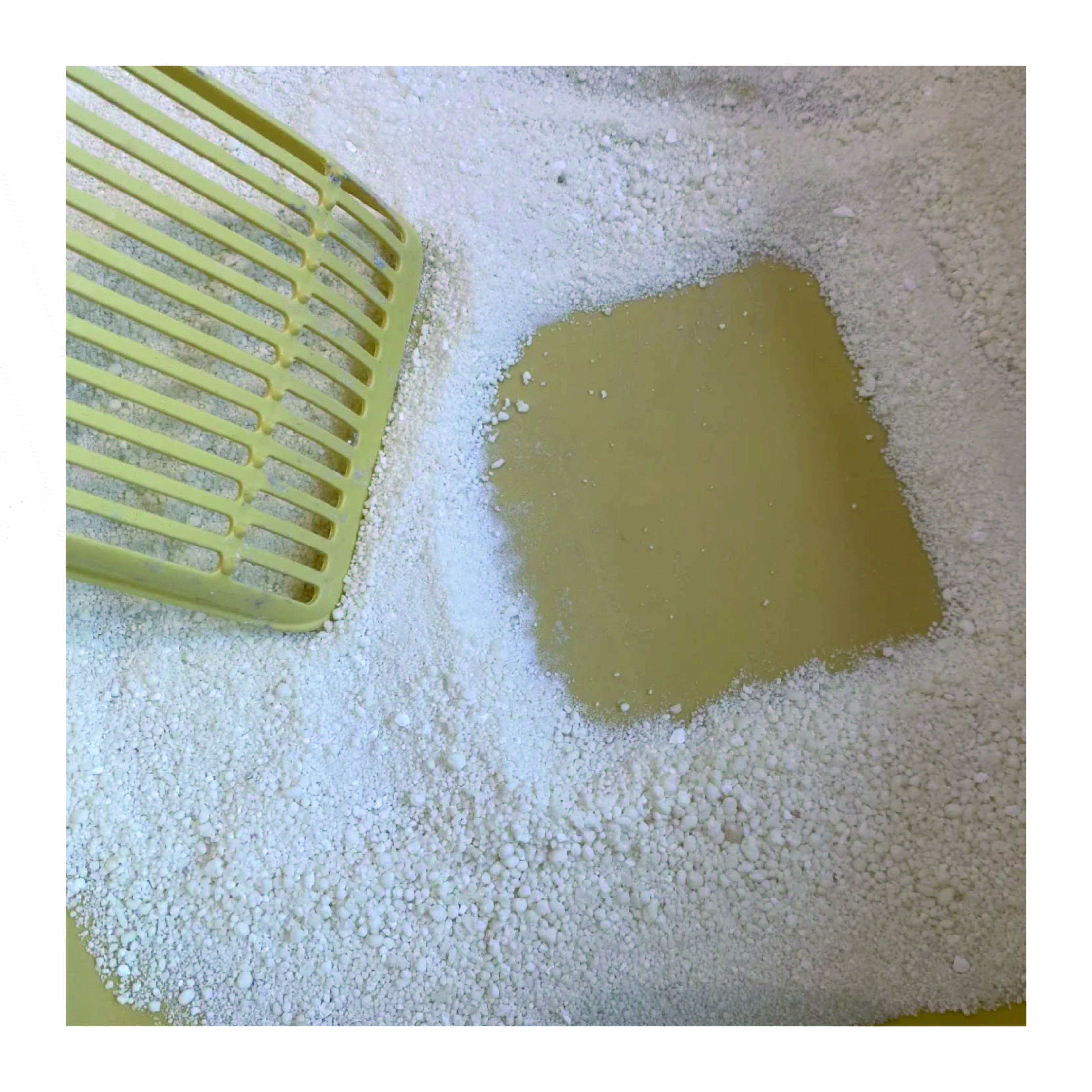 Factory Direct Sale Highly Absorbent High-agglomeration 99% Dust Free Premium Natural Original Cassava Cat Litter