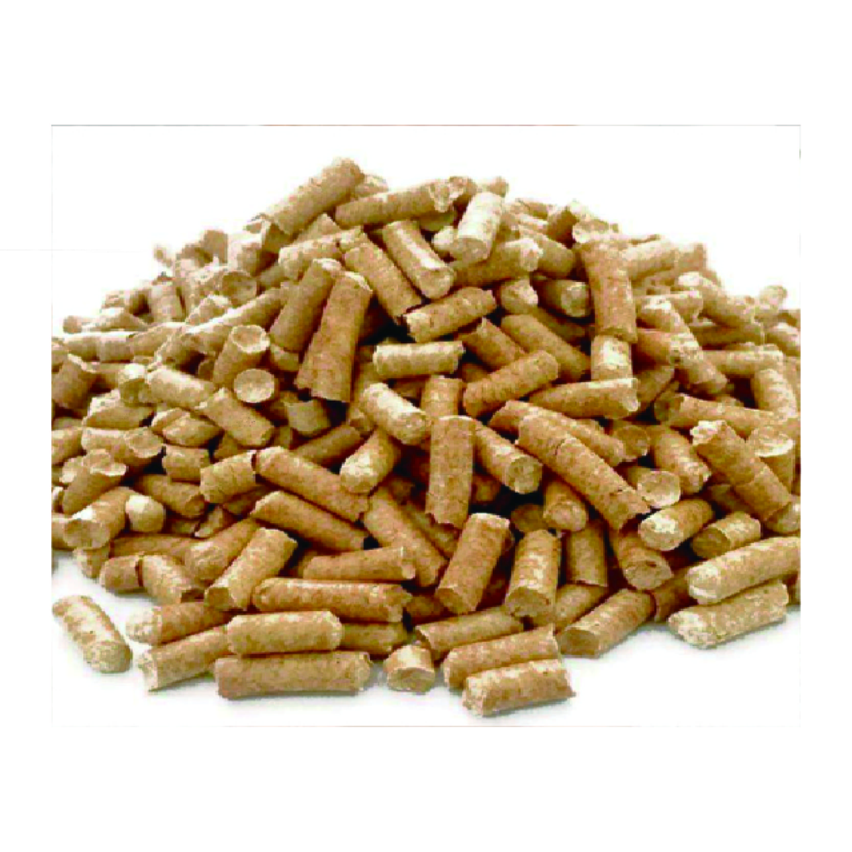 Pine Wood Cat Litter