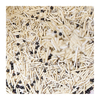 Custom Logo Premium Dust Free Fast Absorption Deodorizing Particles Tofu Bentonite Mixed Cat Litter