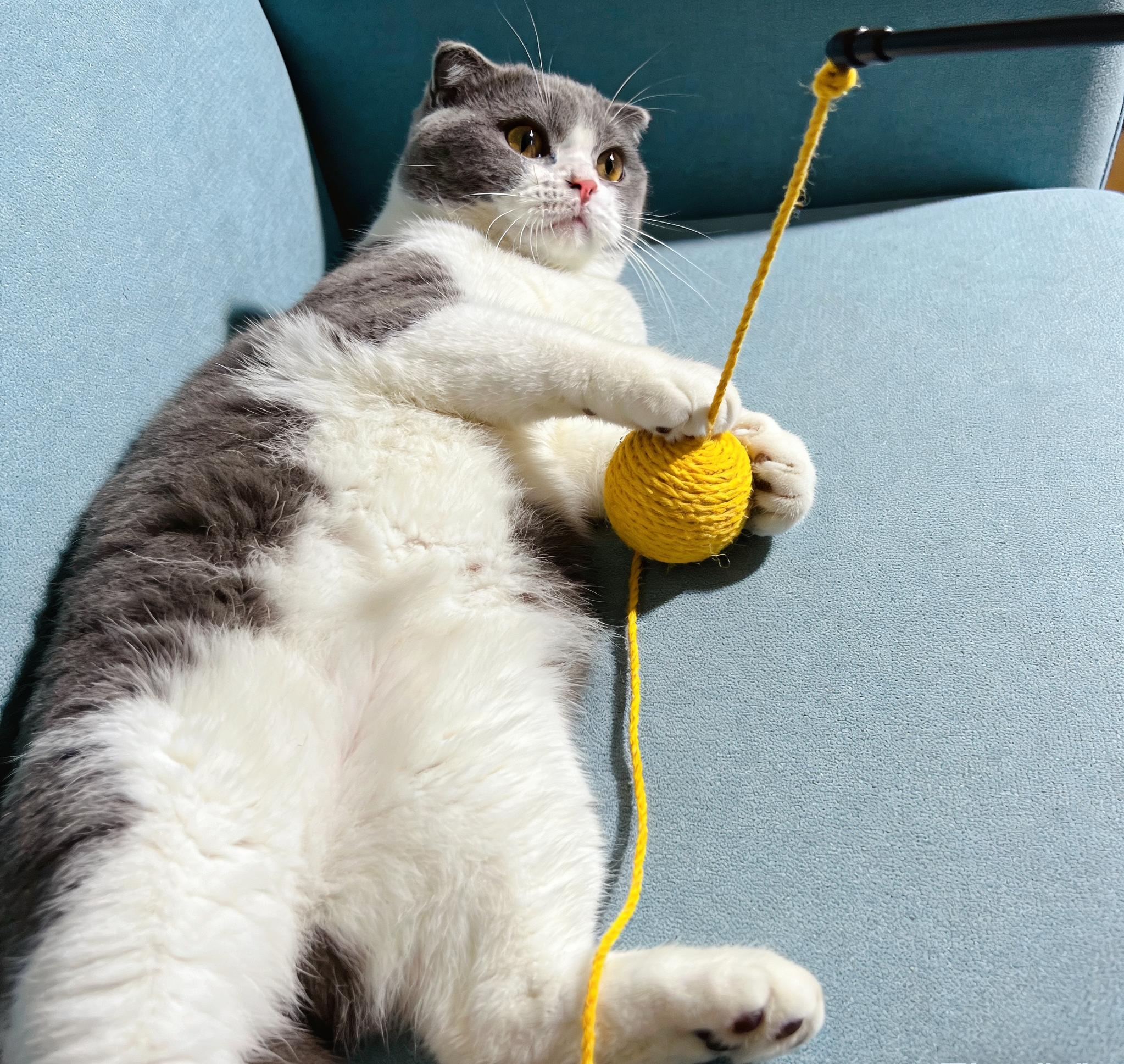 微信图片_20251230175458_44_3