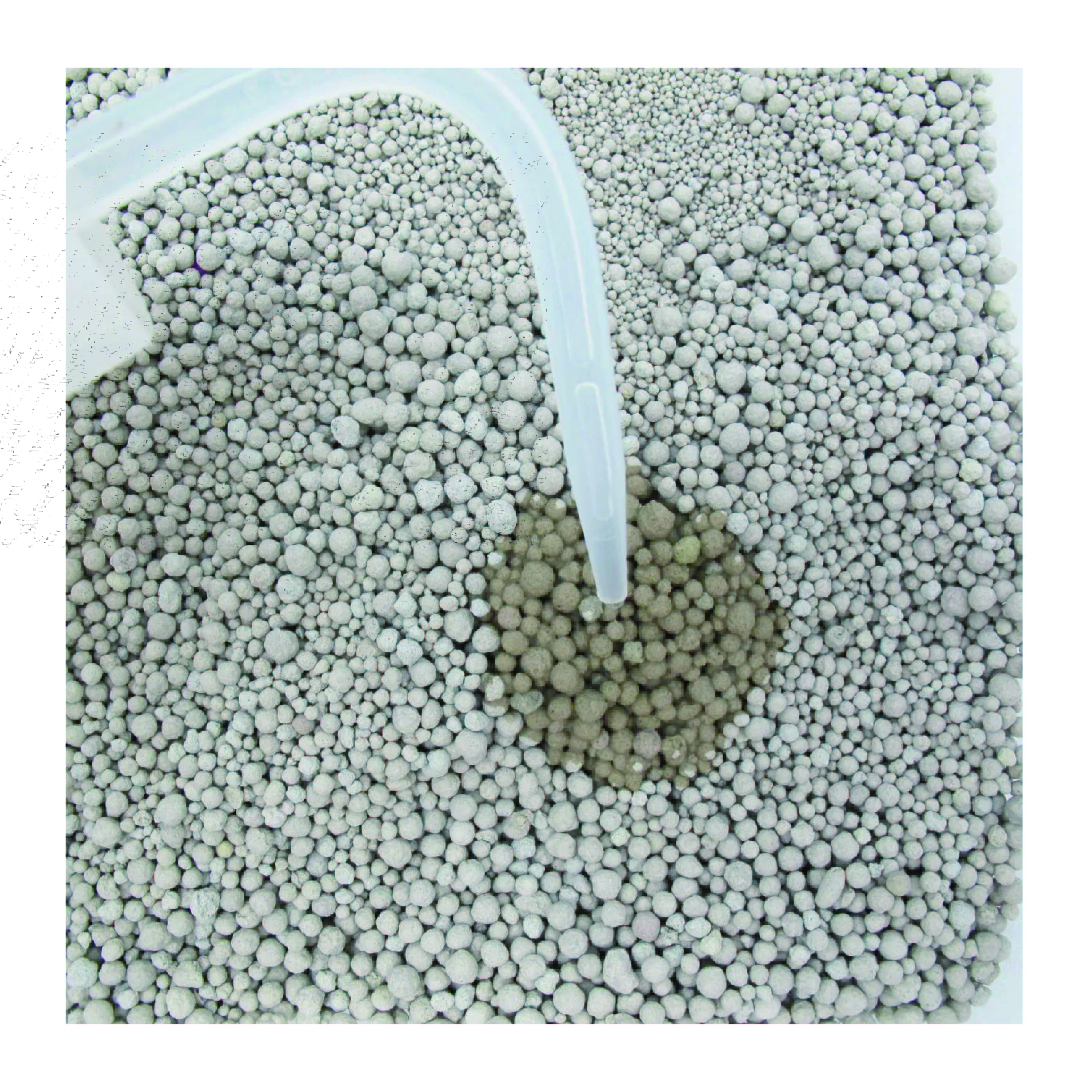 OEM ODM Natural Cat Litter Super Absorbent Bentonite Cat Sand Clumping Dust-Free Odor Control 10L Easy Clean Bentonite Cat Litter