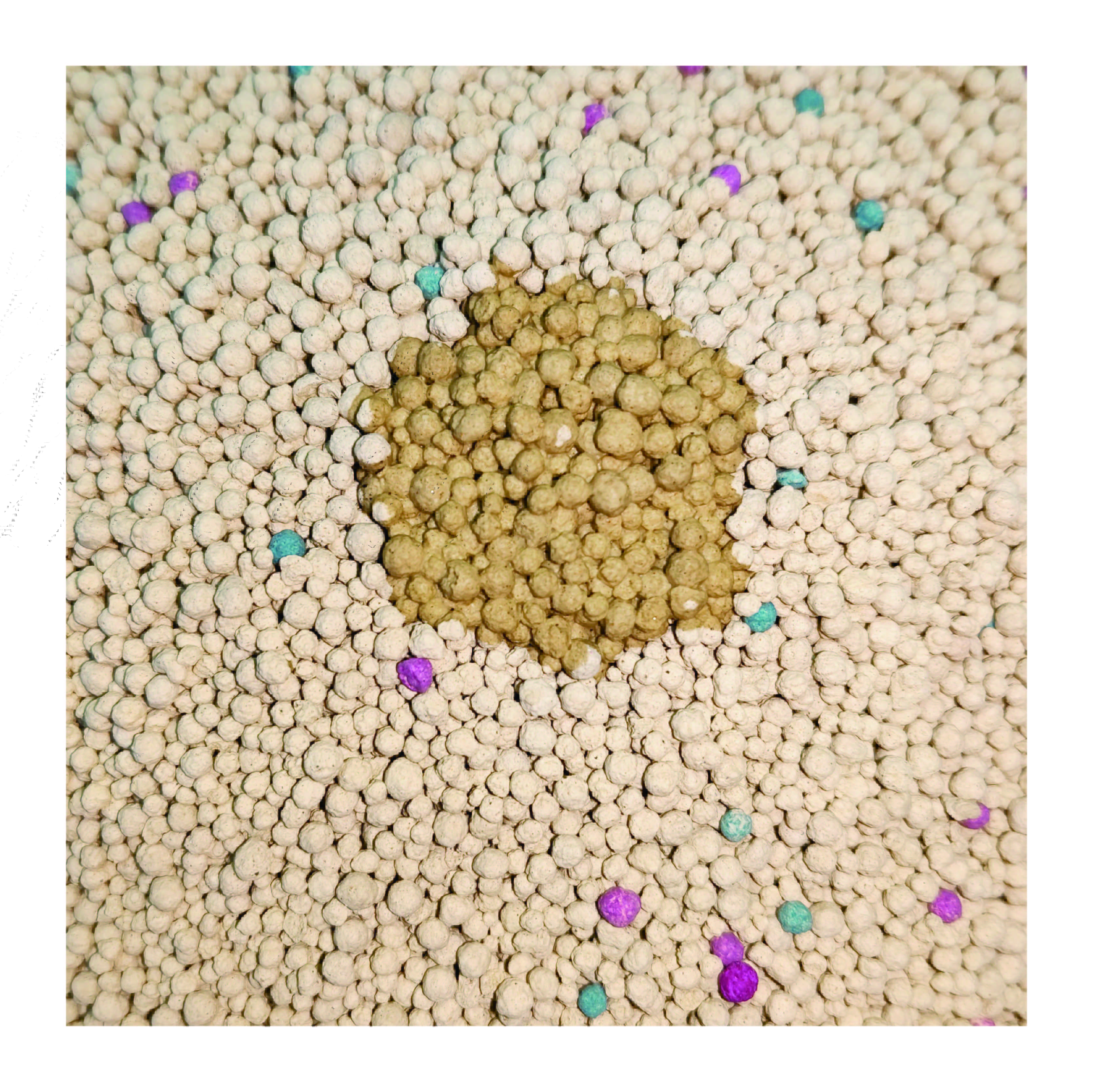 OEM ODM Factory Non Sticky Bottom Fast Shipping Free Custom Packaging Bentonite Cat Litter