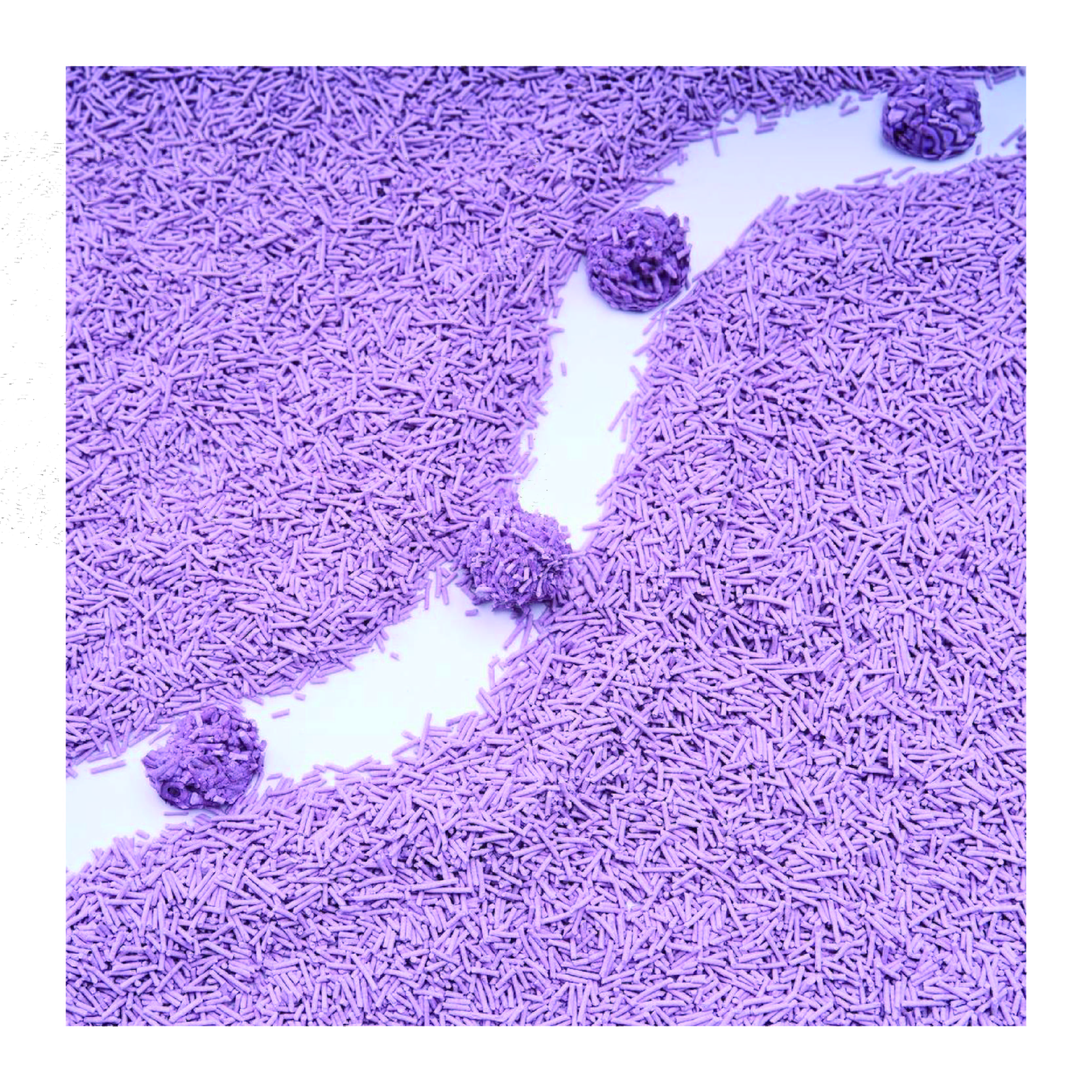 Manufacturer OEM Premium Easy Clean Plant Cat Sand Eco Clean 2mm Stripe Shape Lavender Tofu Cat Litter