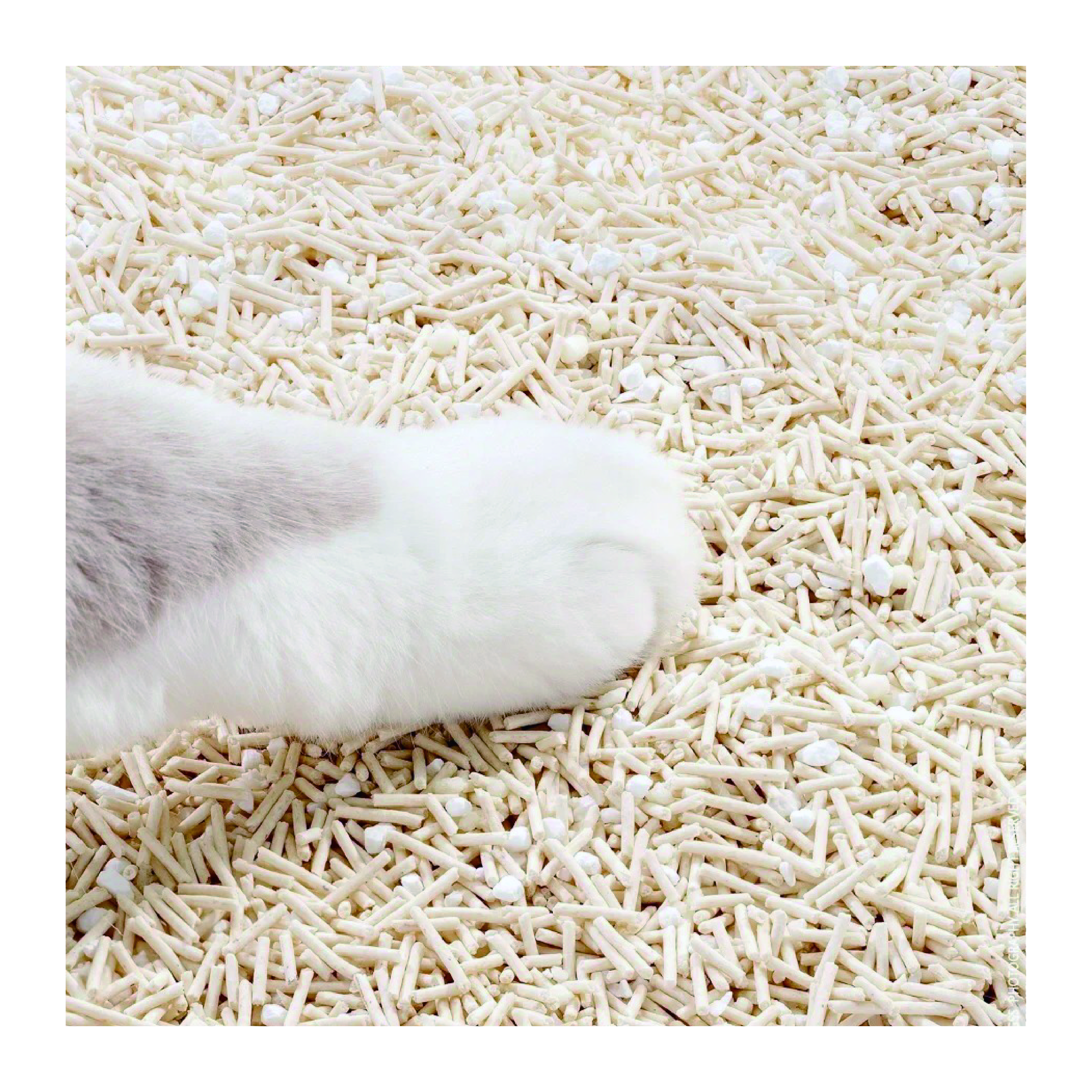 Pet Supply Dust-Free Mixed Litter Fast-Absorbing Eco-Friendly Plant Pet Tofu Cassava Mixed Cat Litter