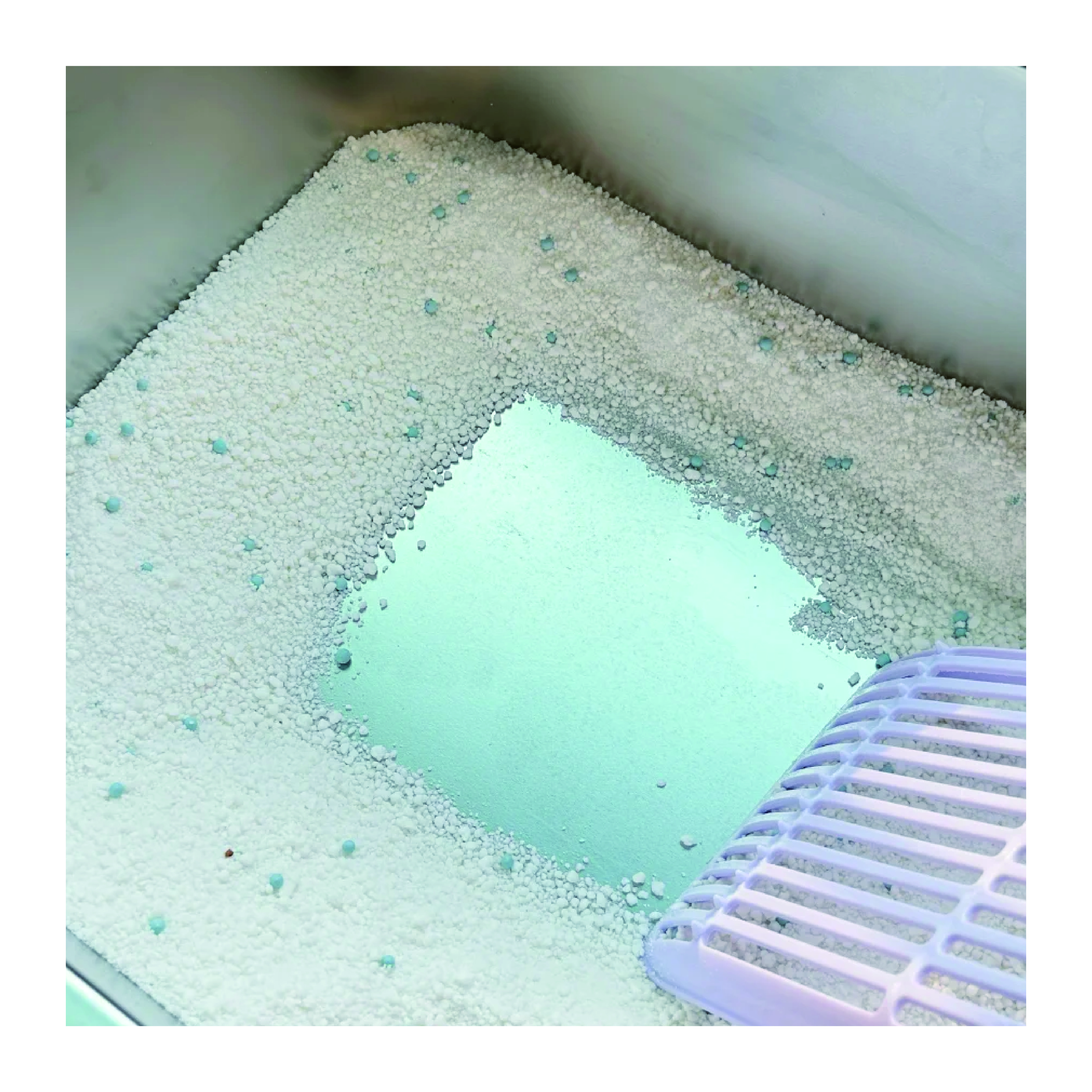 OEM/ODM Custom Manufacturers Factory 100% Plant Fibres Natural Wall-Breaking Excellent Clumping of The Litter Fragrance-Free Strong Odour Control