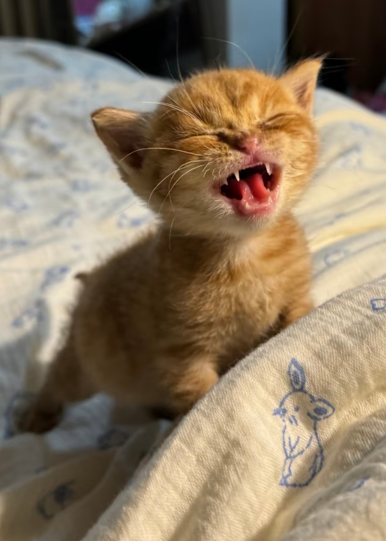 微信图片_20251213173555_38_6