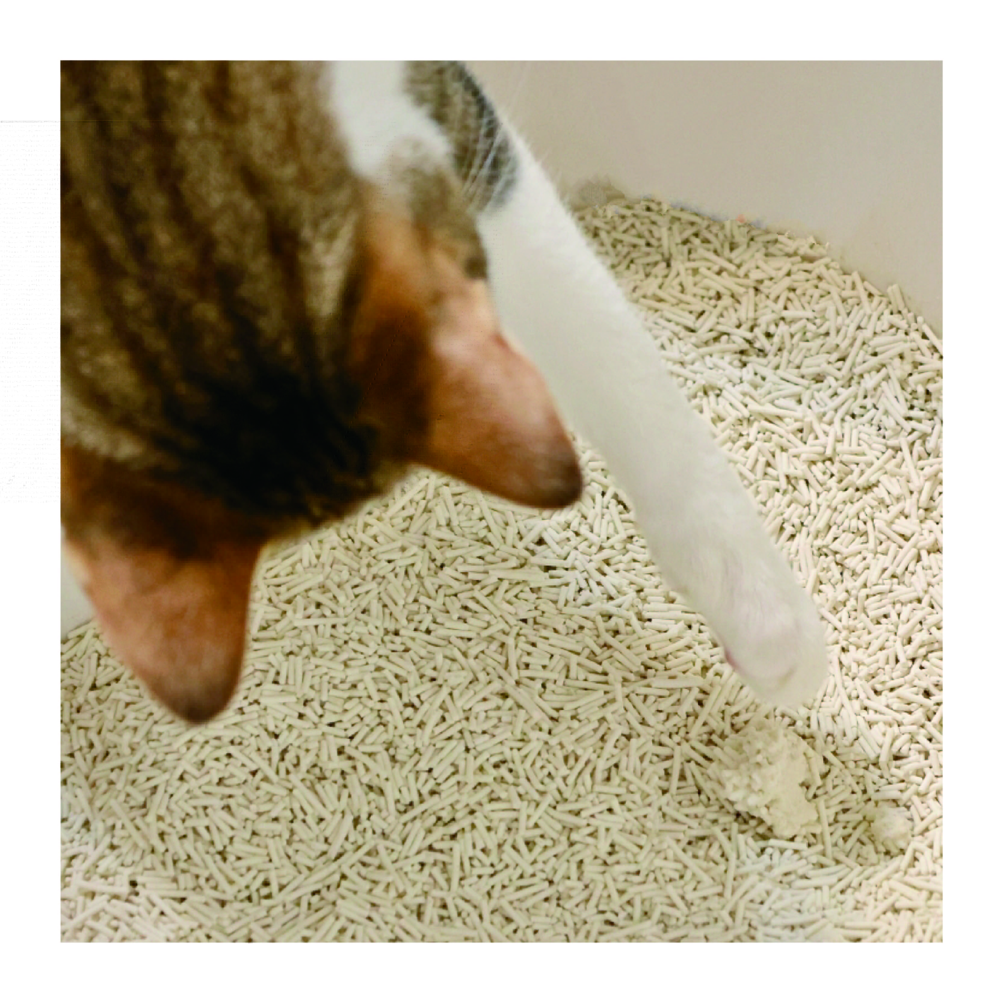 100% Eco-friendly Natural Flushable Original Tofu Cat Litter Factory OEM/ODM Natural Plant Fiber Ingredients Food Grade Tofu Cat Litter