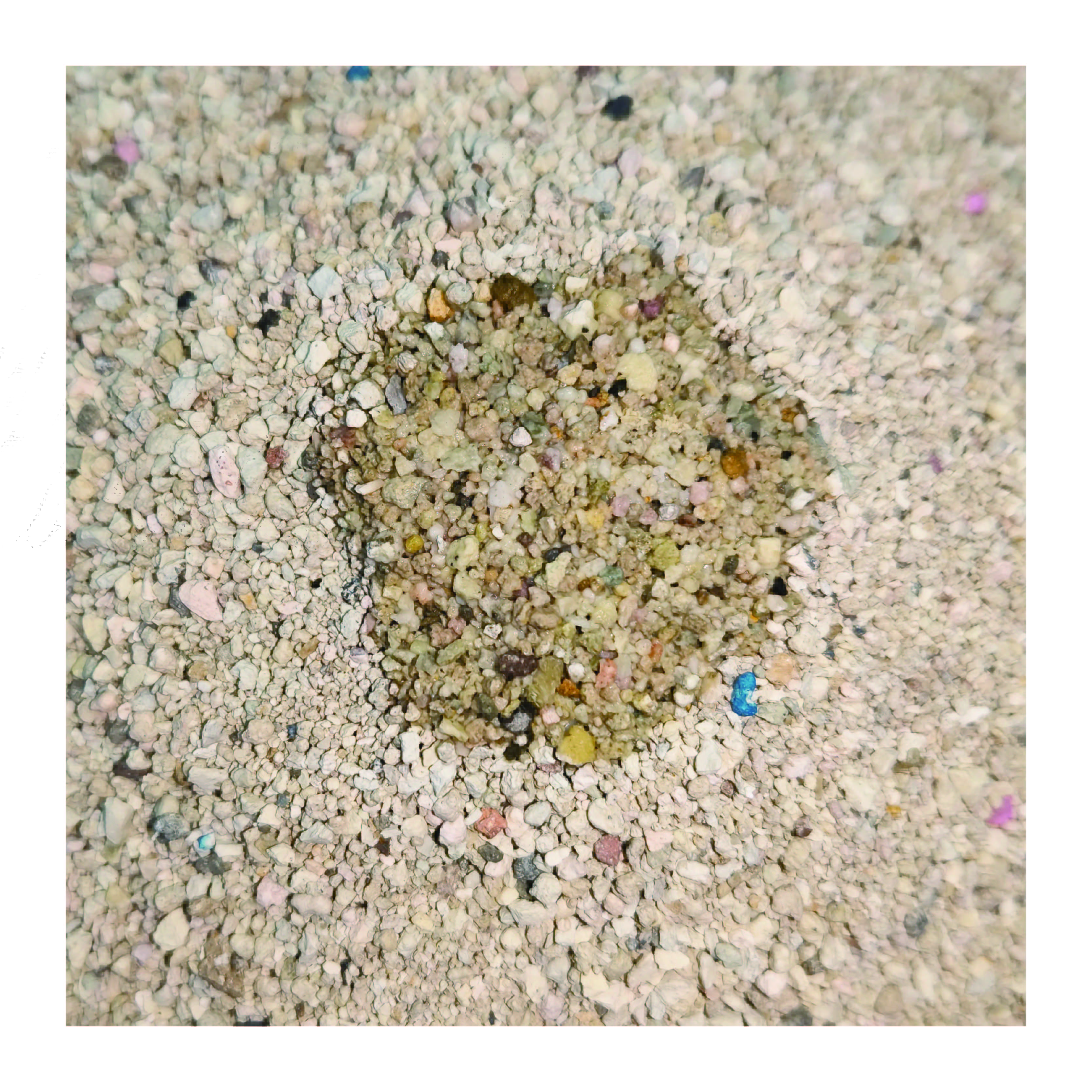 Low Dust Fresh Floral Private Label Clumping Scoopable Pet Accessories Mineral Cat Litter