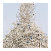 Wholesale Tofu Bentonite Mixed Cat Litter Deodorizing Low-Dust Mineral Sand Customizable Large And Small Packaging Mixed Cat Litter