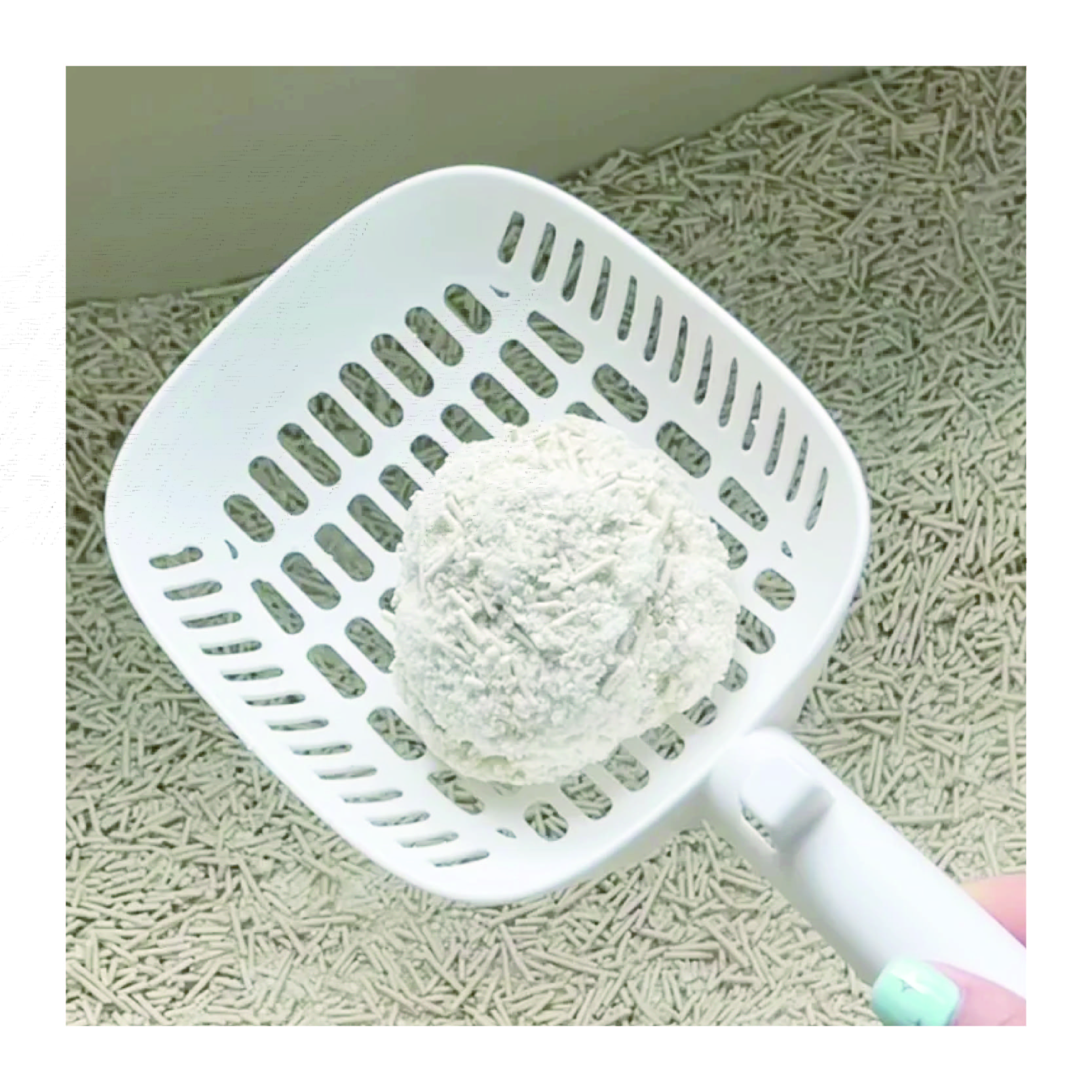 Tofu Tapioca Cat Litter 2.5kg/6L Natural Plant Cat Litter Easy Clumping Biodegradable Mixed Cat Litter