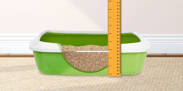 2-3-inches-of-litter-600x300