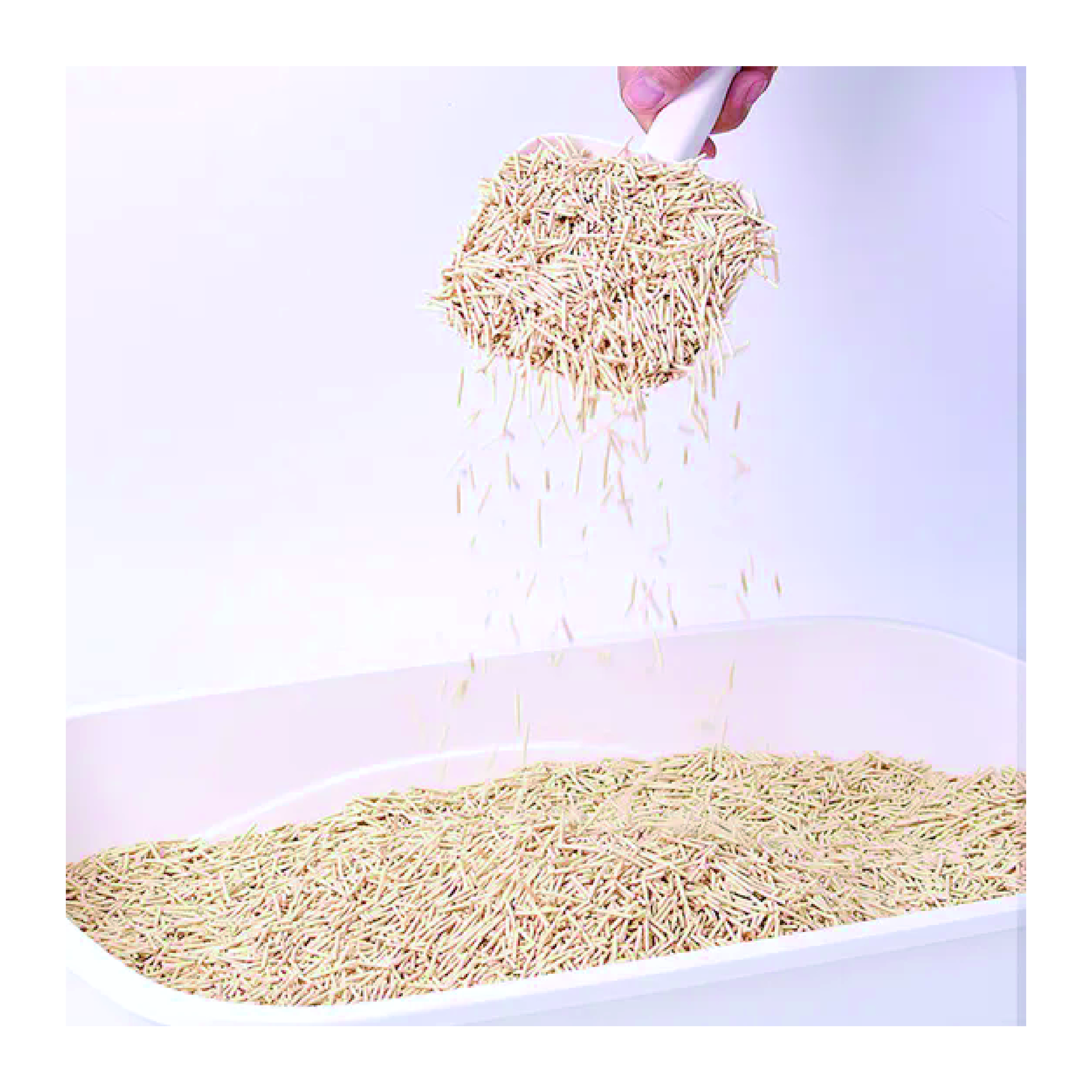 Wholesale Super Water Absorption Clumping Cat Litter Sand Tofu Cat Litter Toilet Food Grade Plant Sand