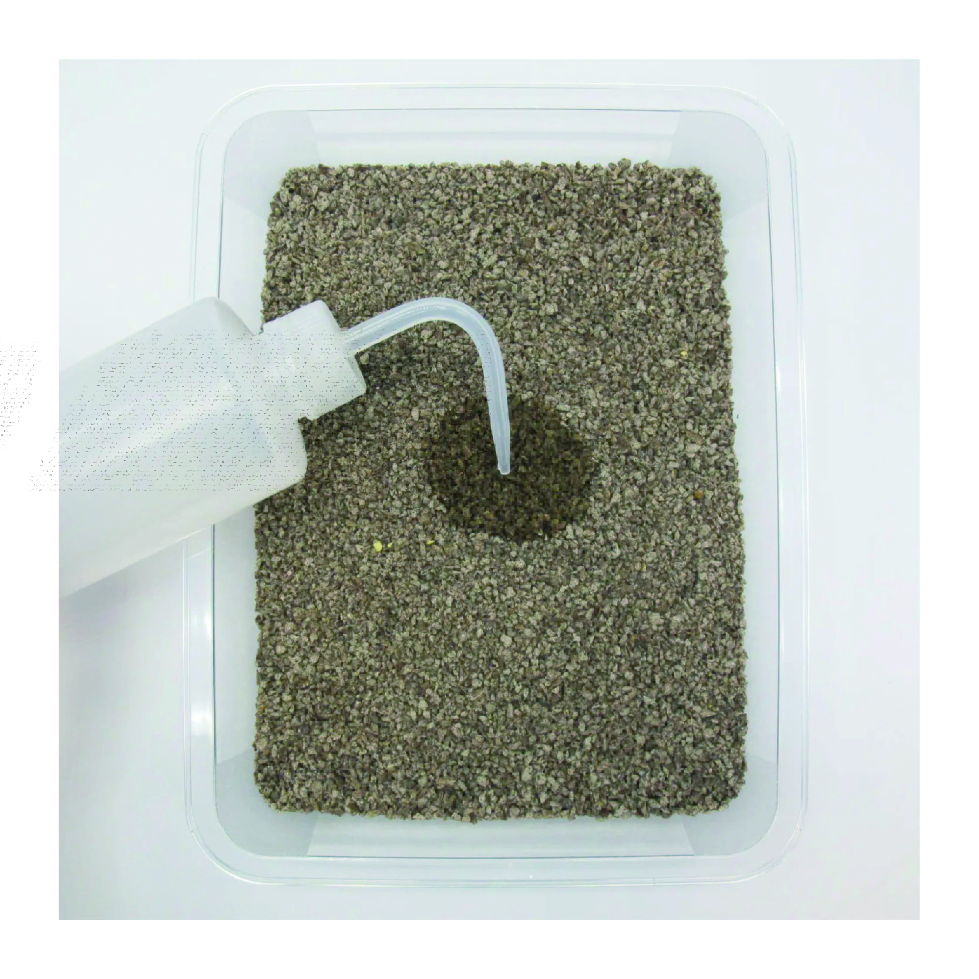 Factory Pet Supply Odor Control Coffee Fragrance Millets Crushed Tofu Cat Litter Pet Products