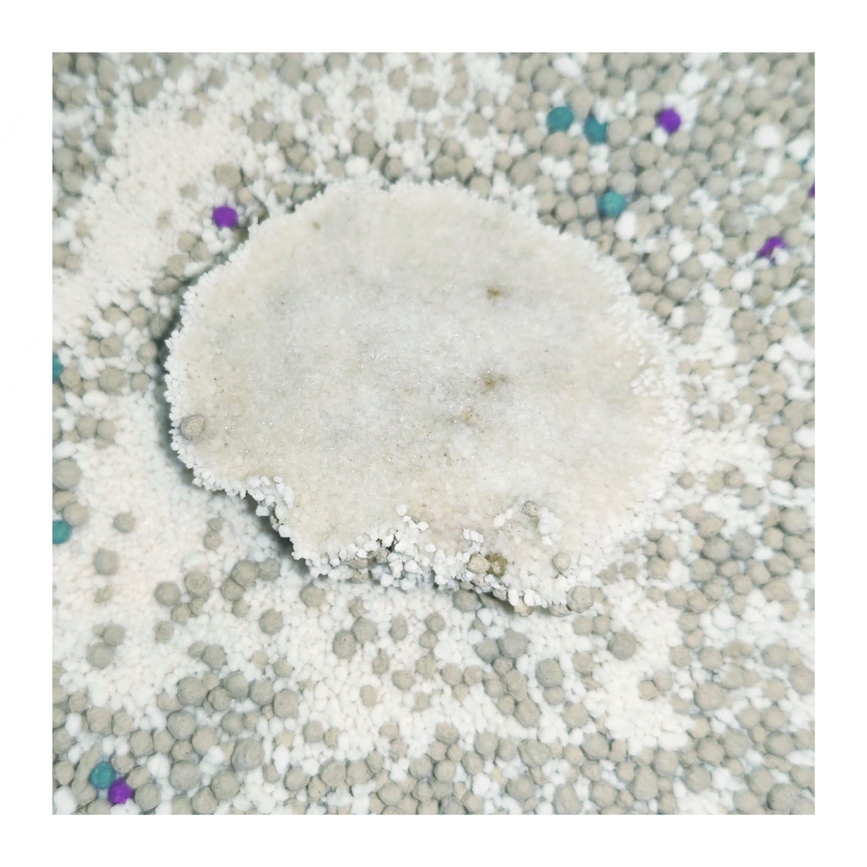 Dust-Free Deodorization Premium Quality Clumping Factory Custom Natural Cassava Bentonite Mixed Cat Litter