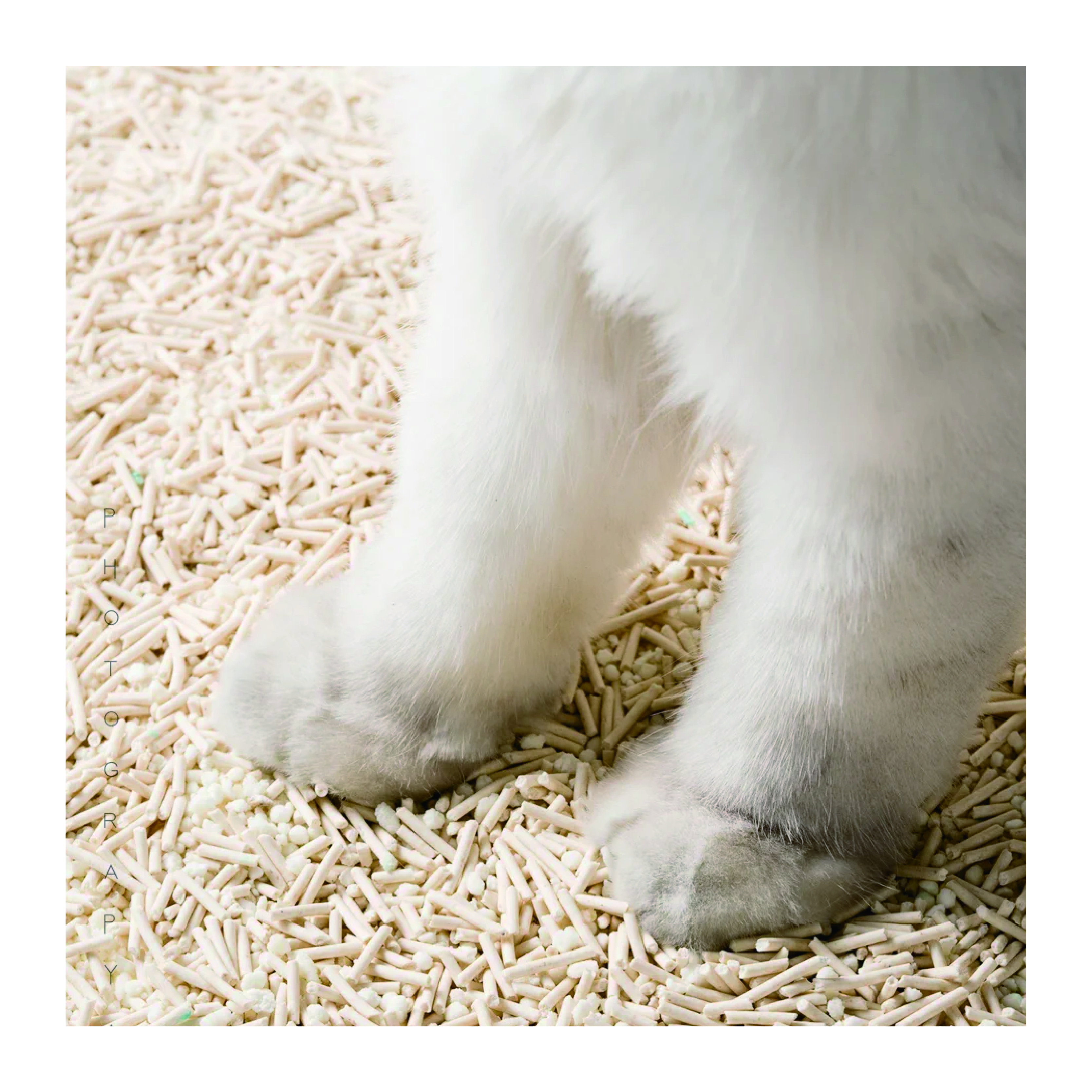 Premium Tofu & Cassava Mix Cat Litter - Fast Clumping, Non-Sticky, Customizable Blend