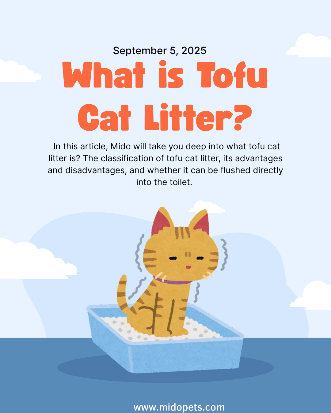 3 Minutes to Understand Tofu Cat Litter!