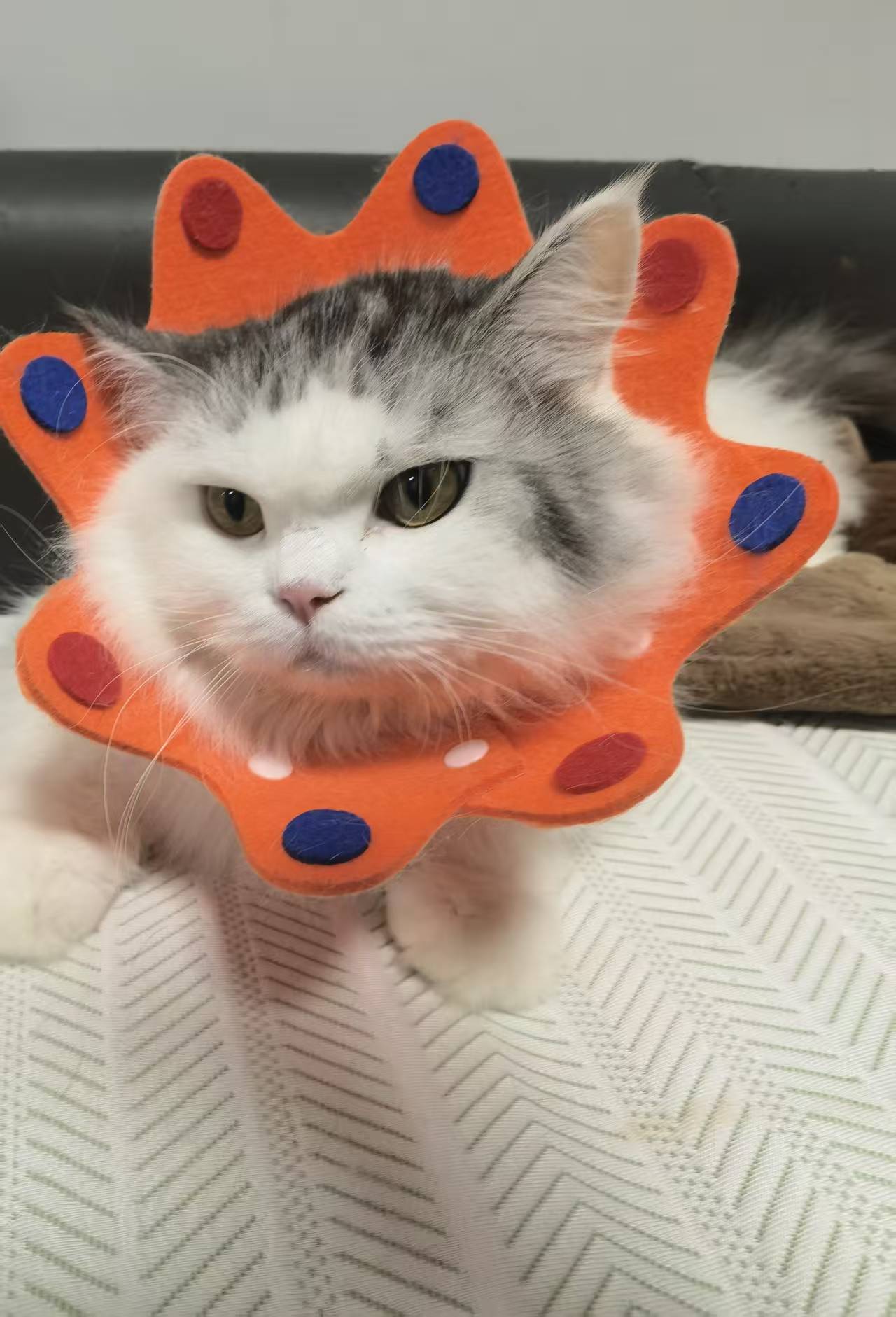 微信图片_20260108144630_136_2